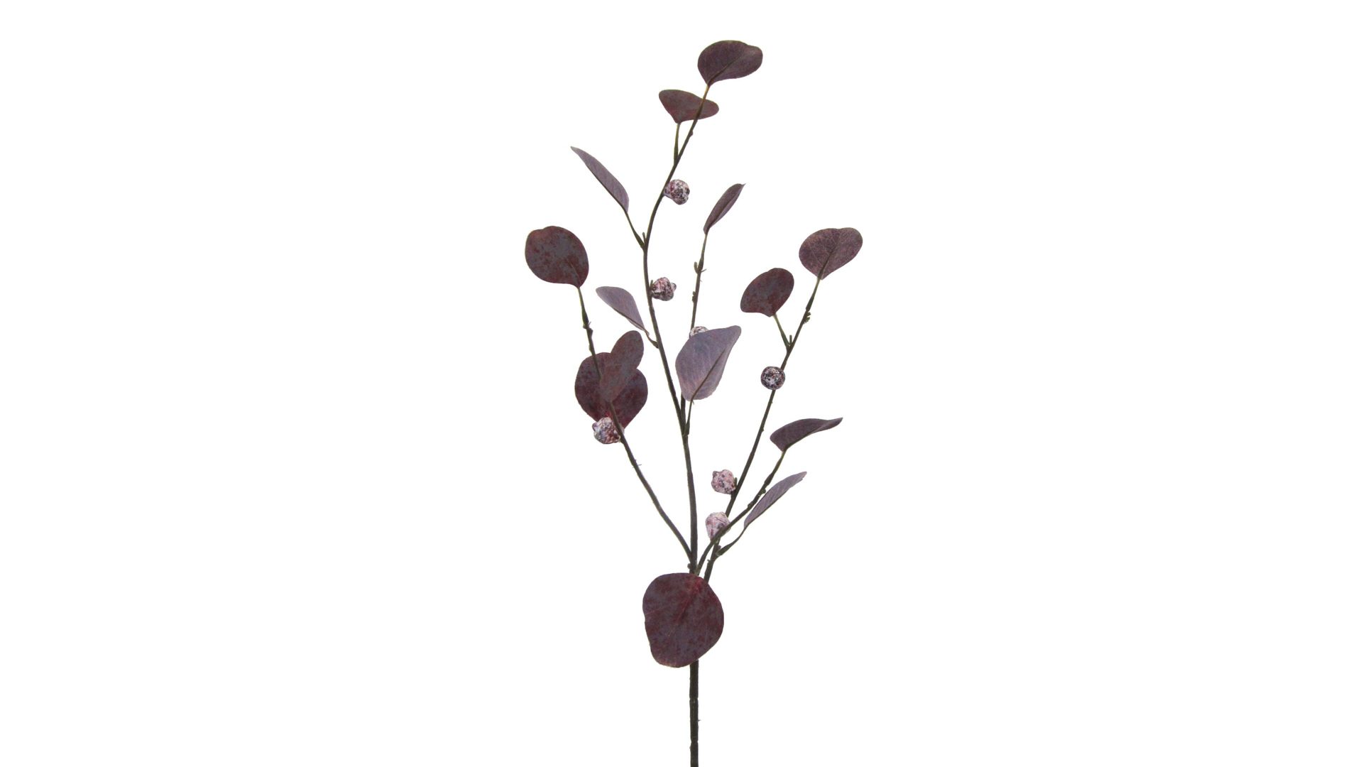 Blume Interliving BEST BUDDYS! aus Kunststoff in Lila Interliving BEST BUDDYS! Eukalyptuszweig künstlicher auberginefarbener Eukalyptuszweig – Höhe ca. 73 cm
