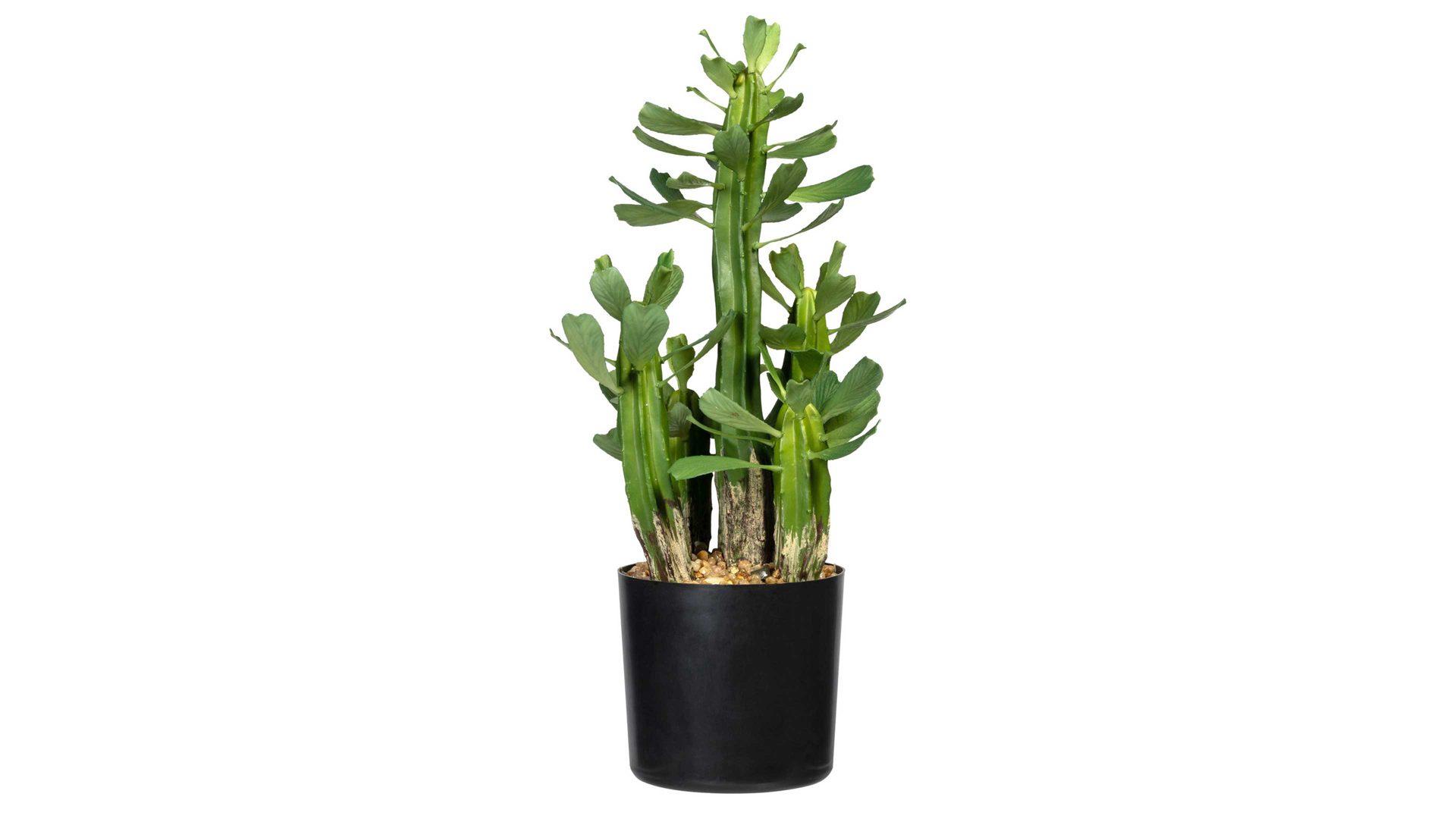 Pflanze Gasper aus Kunststoff in Grün Kaktus Euphorbia grüner Kunststoff & schwarzer Topf – Höhe ca. 40 cm