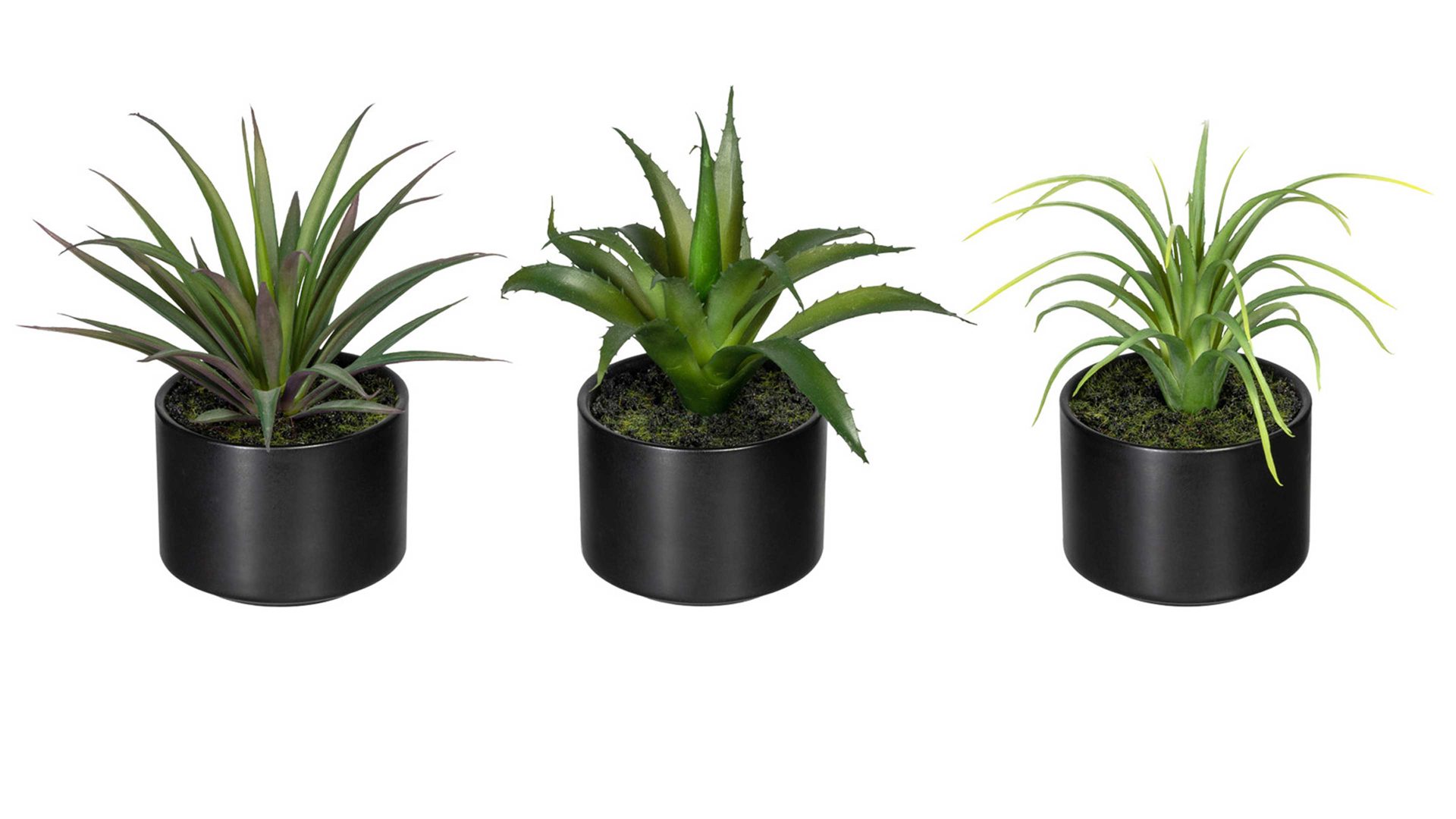 Pflanze Gasper aus Kunststoff in Grün Grünpflanzen-Set grüner Kunststoff & schwarze Keramik – dreiteilig