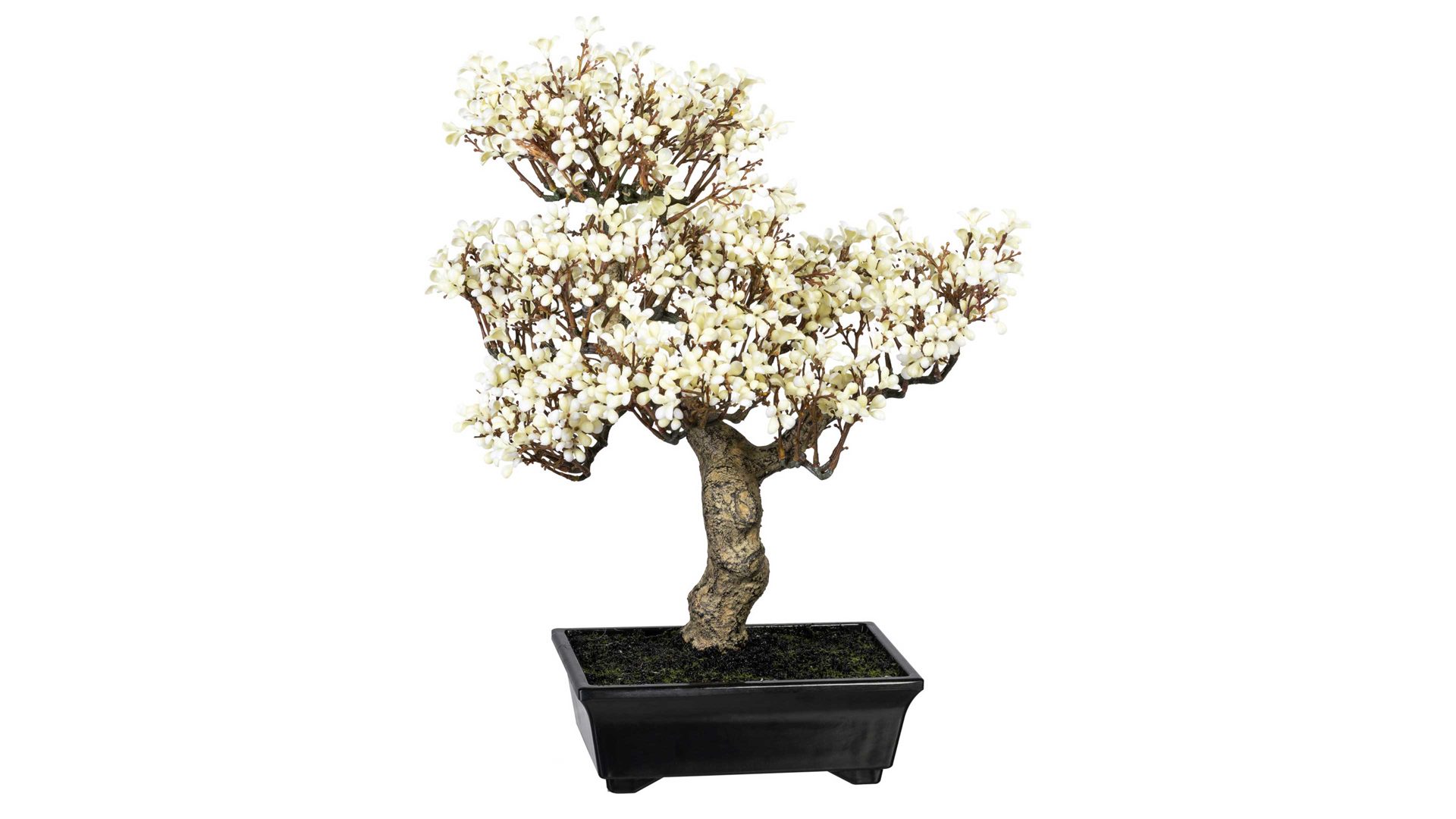 Pflanze Gasper aus Stoff in Weiß Chinesischer Winterblütenbonsai weiße Textilblüten & schwarzer Topf – Höhe ca. 40 cm