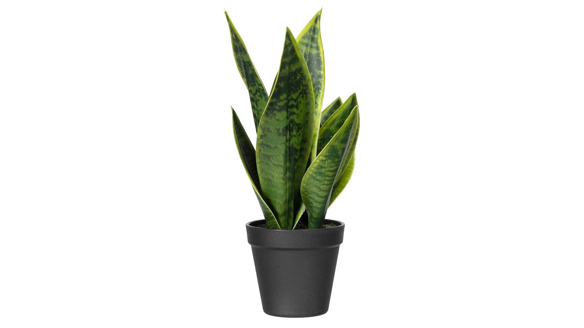 Pflanze Gasper aus Kunststoff in Grün Bogenhanf Sanseveria dunkelgrüner Kunststoff & schwarzer Topf – Höhe ca. 33 cm
