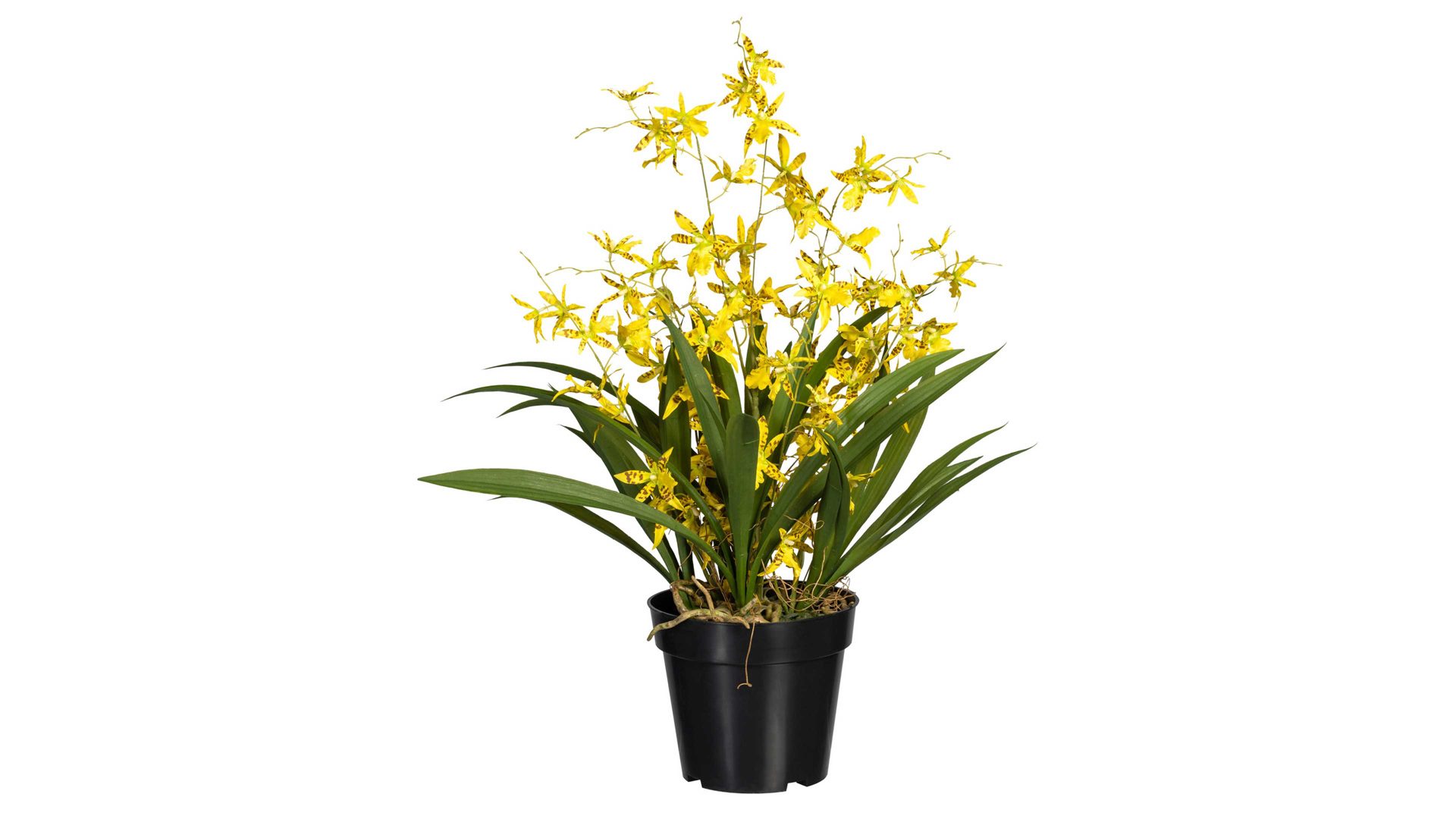 Pflanze Gasper aus Stoff in Gelb Orchidee Oncydie Dancing Queen gelbe Textilblüten & schwarzer Topf – Höhe ca. 60 cm