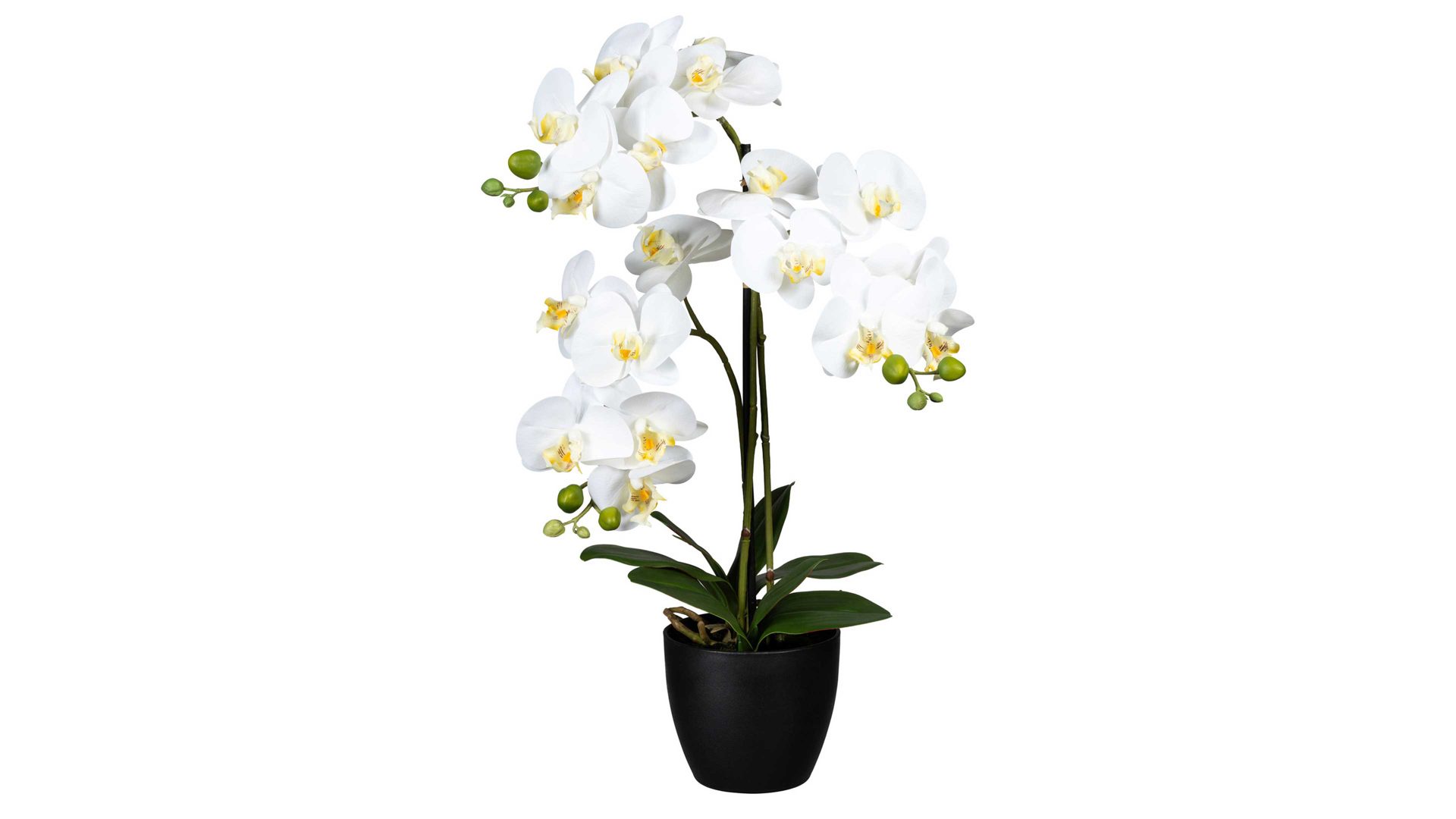 Pflanze Gasper aus Stoff in Weiß Orchidee Phalaenopsis weiße Textilblüten & schwarzer Topf – Höhe ca. 65 cm
