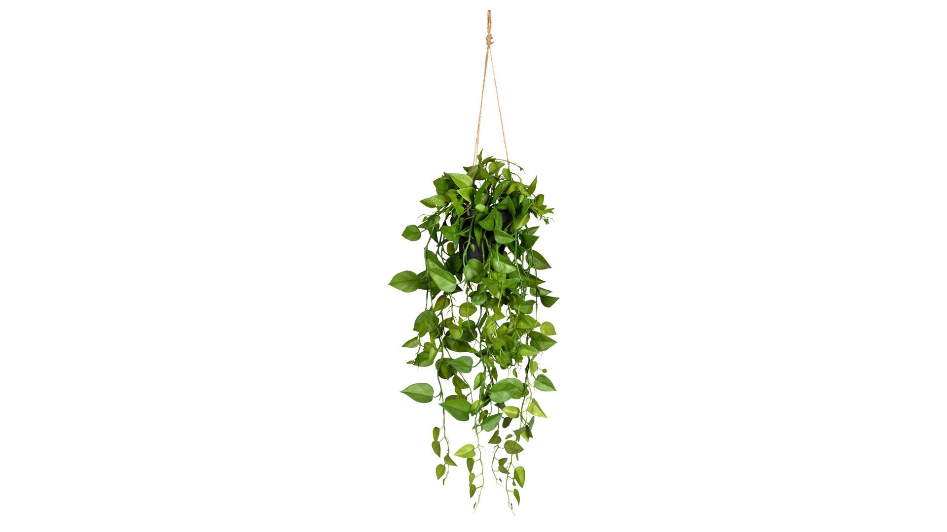 Pflanze Gasper aus Kunststoff in Grün Philodendron-Hängepflanze grüner Kunststoff & schwarzer Topf – Länge ca. 75 cm