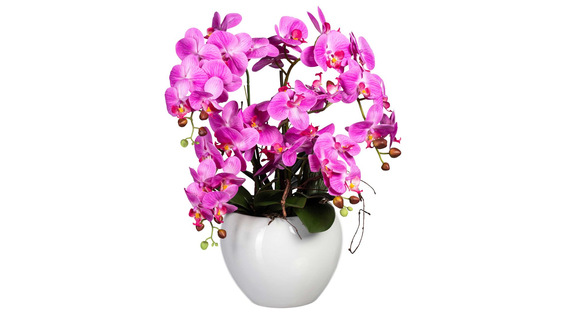 Pflanze Gasper aus Stoff in Pink Orchidee Phalaenopsis dunkelrosafarbene Textilblüten & weißer Keramiktopf – Höhe ca. 56 cm