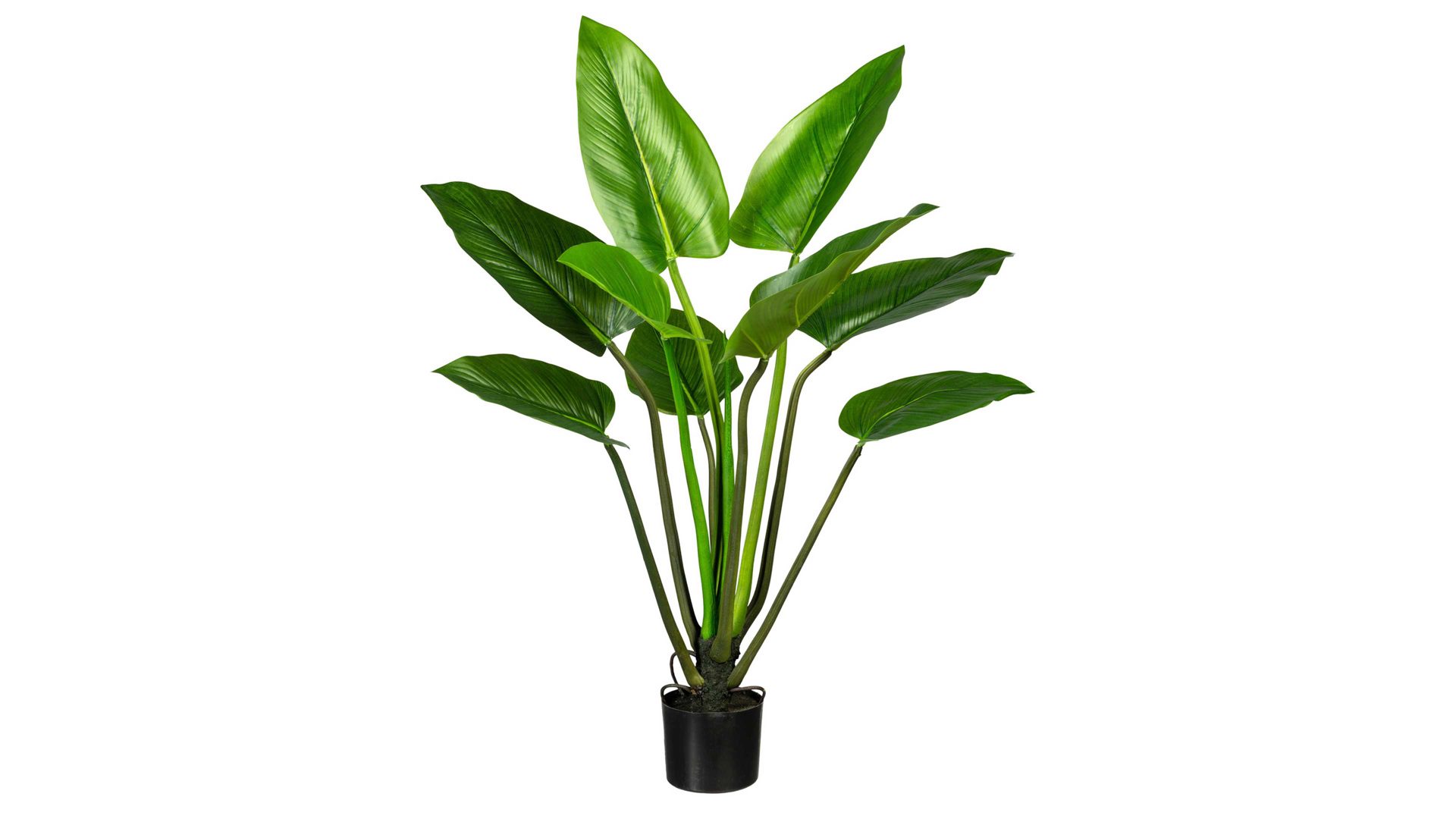 Pflanze Gasper aus Kunststoff in Grün Philodendron grüner Kunststoff & schwarzer Topf – Höhe ca. 110 cm