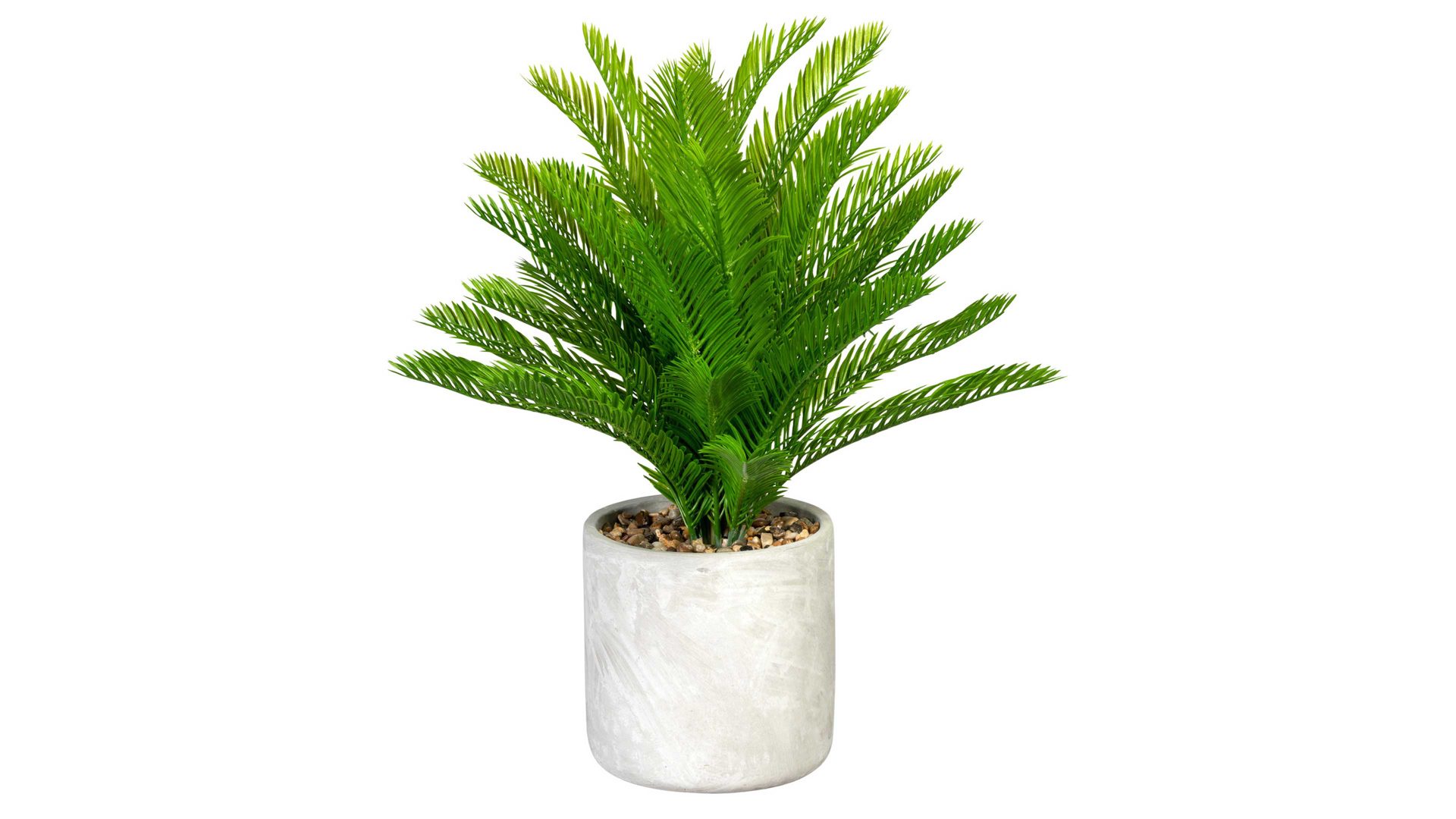 Pflanze Gasper aus Kunststoff in Grün Palmfarn Cycas grüner Kunststoff & Zementtopf – Höhe ca. 55 cm