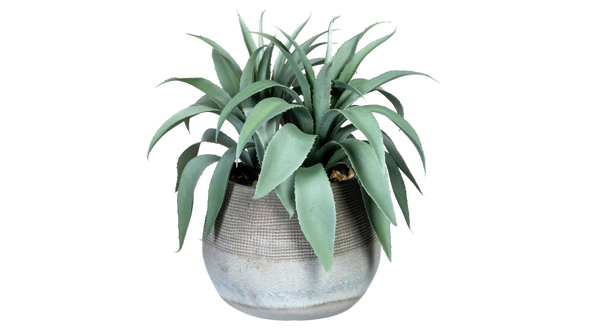 Pflanze Gasper aus Kunststoff in Grün Agave graugrüner Kunststoff & Zementtopf – Höhe ca. 35 cm