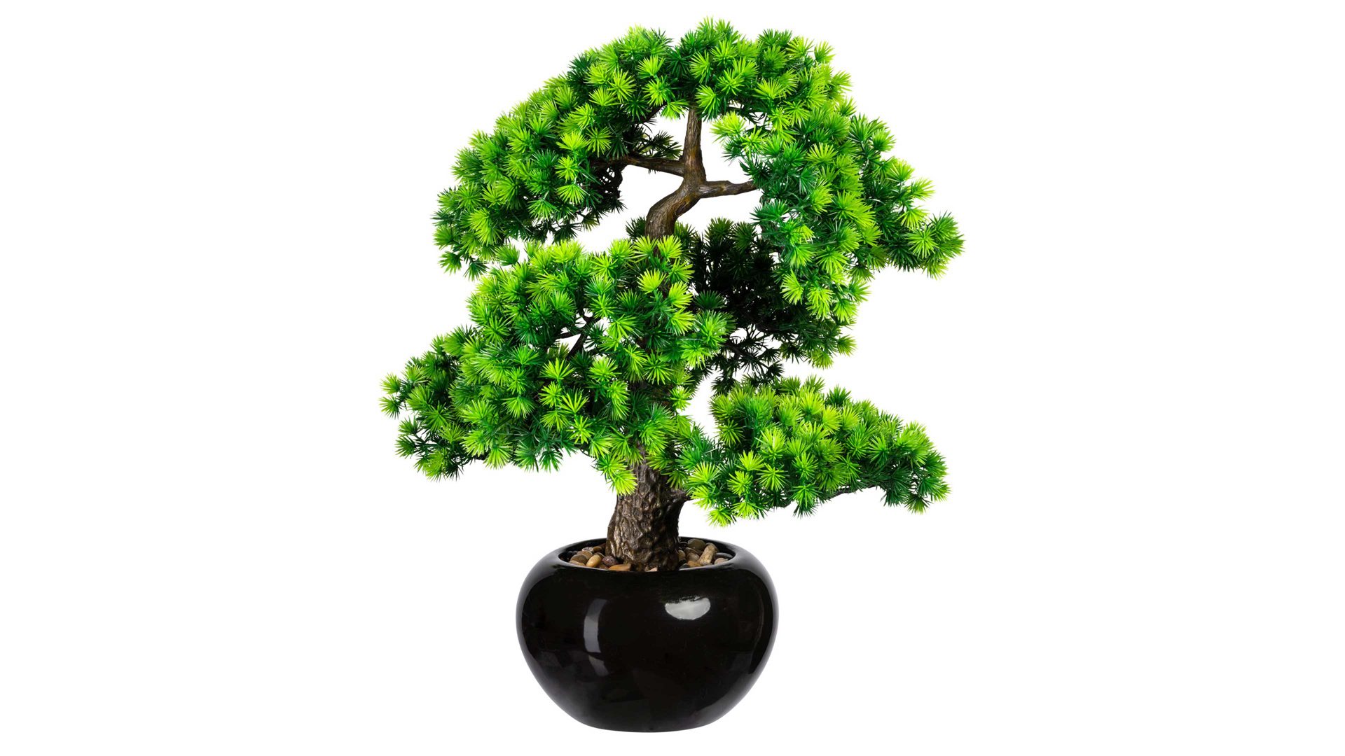 Pflanze Gasper aus Kunststoff in Grün Bonsai Lärche grüner Kunststoff & schwarzer Keramiktopf – Höhe ca. 48 cm