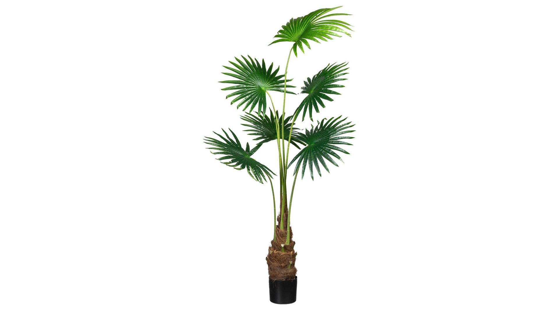 Pflanze Gasper aus Kunststoff in Grün Fächerpalme grüner Kunststoff & schwarzer Topf – Höhe ca. 140 cm