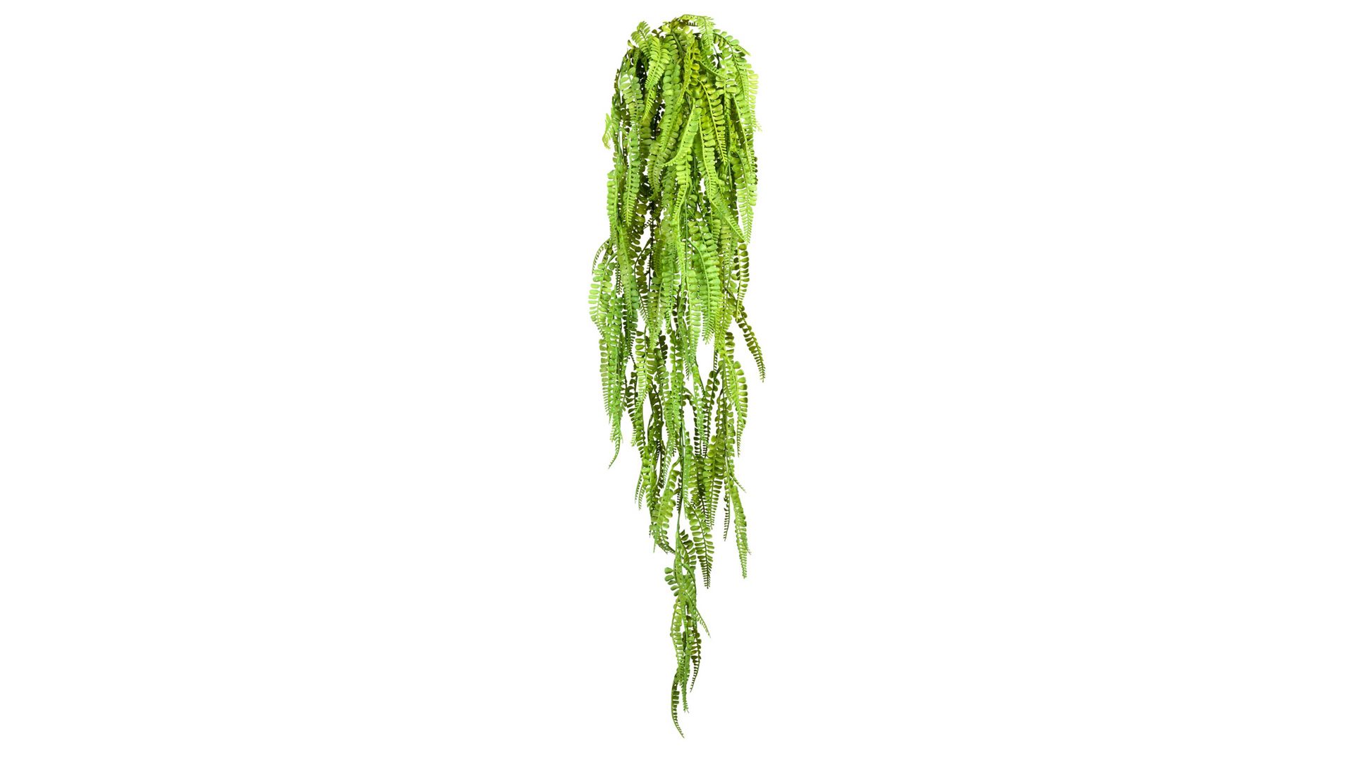 Pflanze Gasper aus Kunststoff in Grün Frauenhaarfarn Adiantum-Hängepflanze grüner Kunststoff – Länge ca. 105 cm