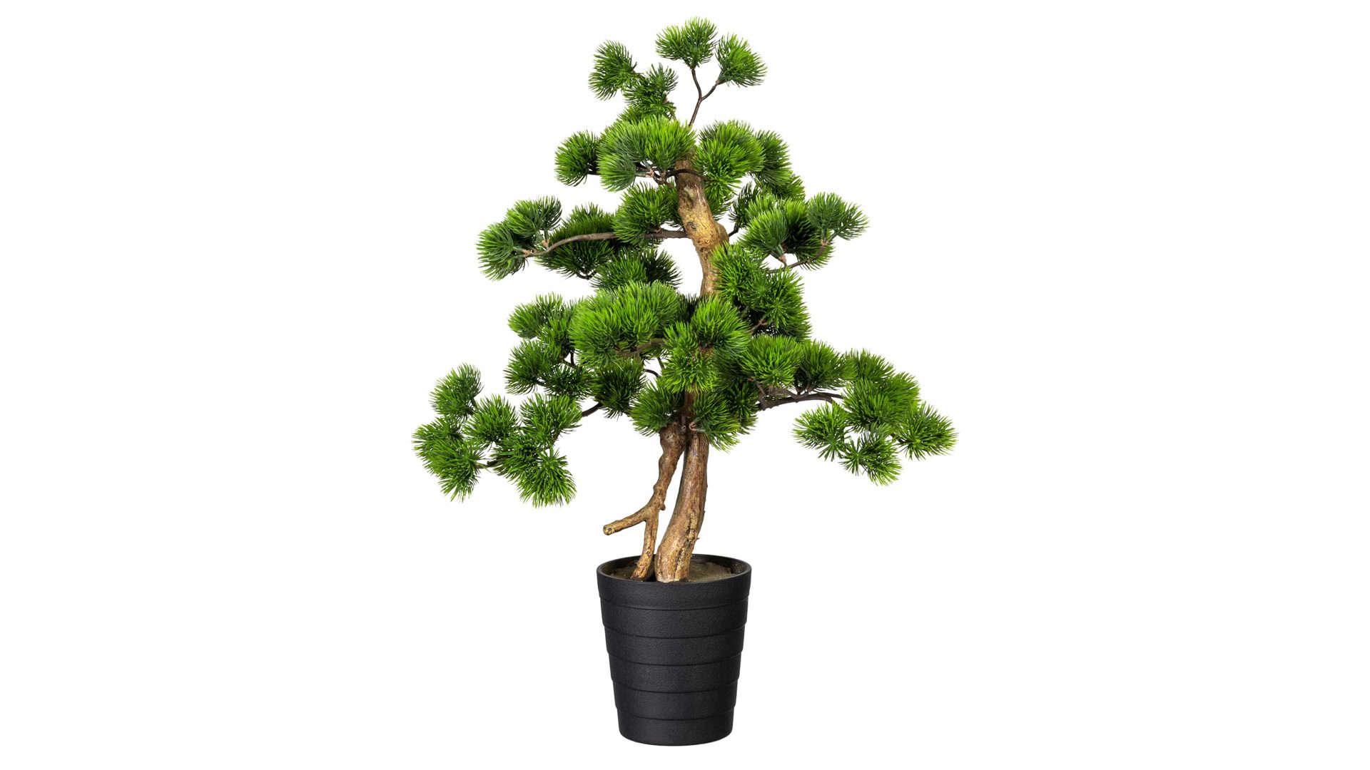 Pflanze Gasper aus Kunststoff in Grün Bonsai Kiefer grüner Kunststoff & schwarzer Topf – Höhe ca. 60 cm
