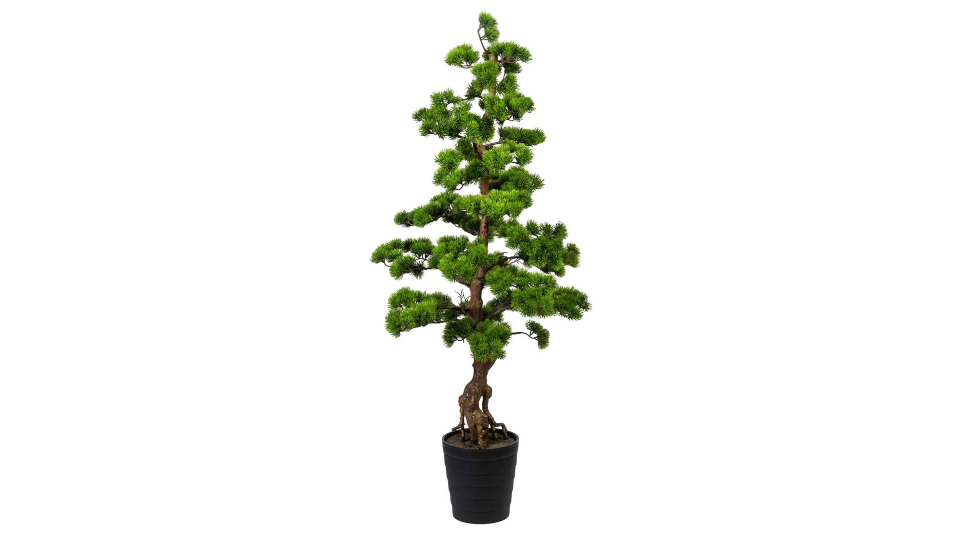 Pflanze Gasper aus Kunststoff in Grün Bonsai Kiefer grüner Kunststoff & schwarzer Topf – Höhe ca. 140 cm