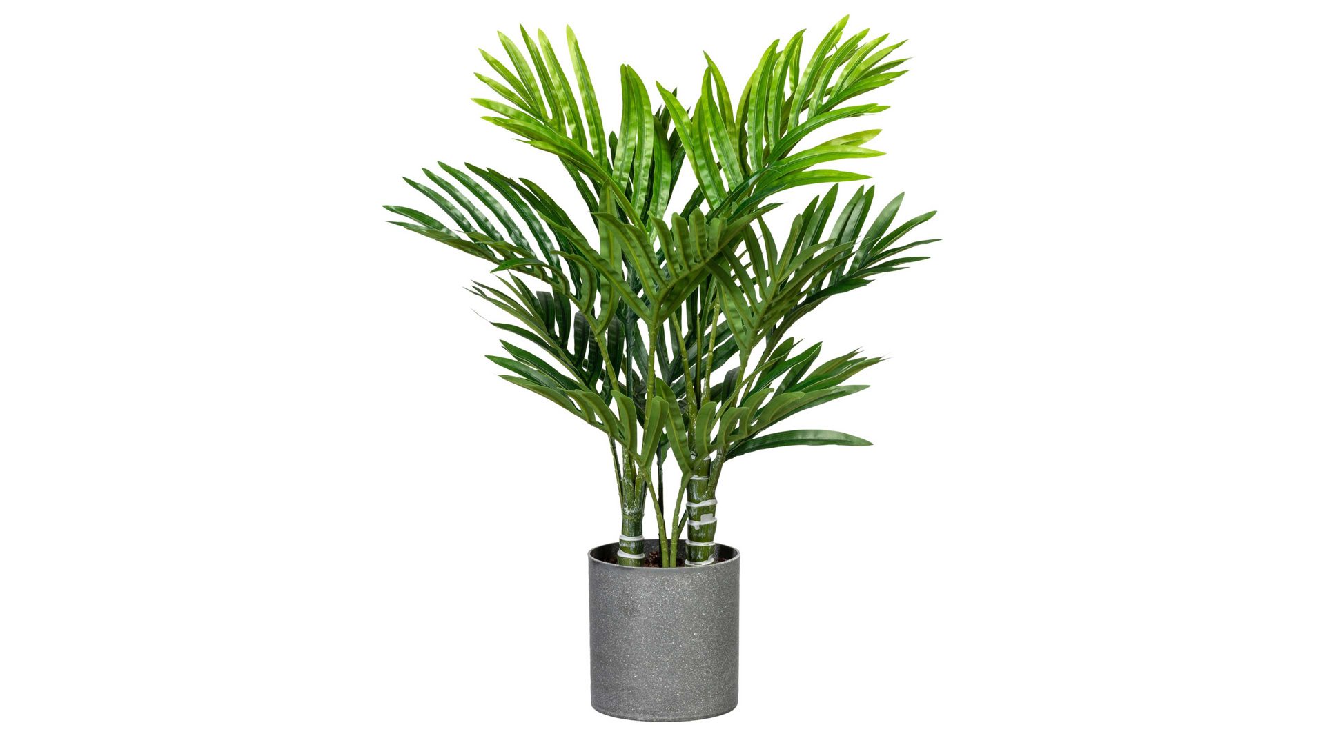 Pflanze Gasper aus Kunststoff in Grün Mini-Kentiaplame grüner Kunststoff & grauer Melamintopf – Höhe ca. 55 cm