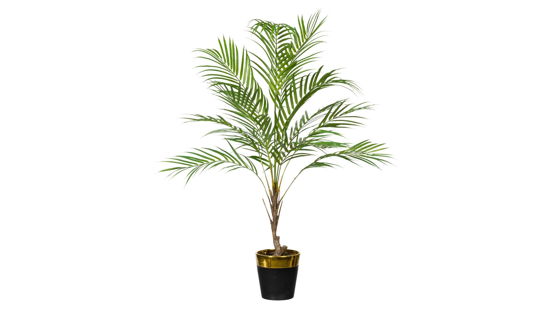 Pflanze Gasper aus Kunststoff in Grün Zimmerpalme grüner Kunststoff & schwarzer Keramiktopf – Höhe ca. 85 cm