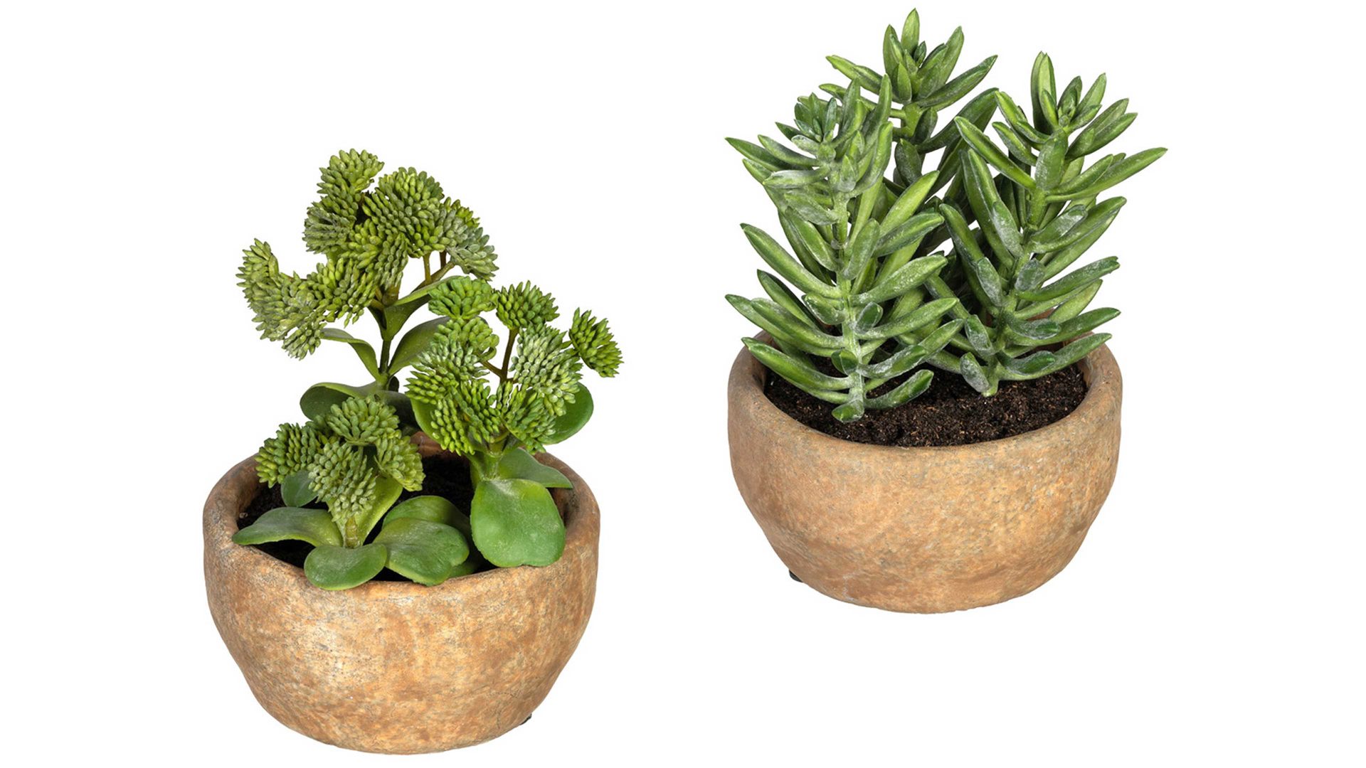 Pflanze Gasper aus Kunststoff in Grün Dickblattgewächs-Mix grüner Kunststoff & Terracottaschalen – zweiteilig