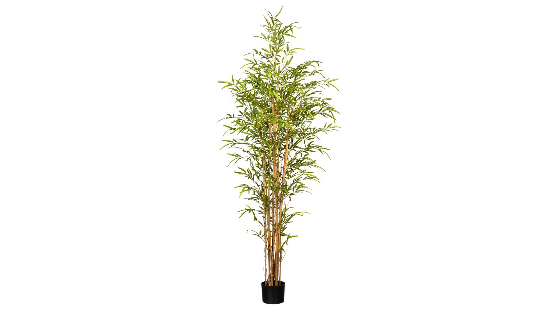 Pflanze Gasper aus Kunststoff in Grün Bambus grüner Kunststoff & schwarzer Topf – Höhe ca. 180 cm