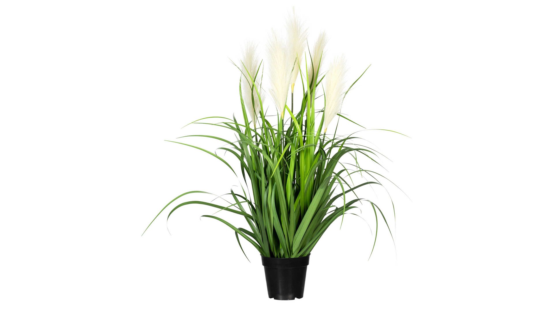Pflanze Gasper aus Kunststoff in Grün Grasbusch mit Pampaswedeln grüner Kunststoff & schwarzer Topf – Höhe ca. 95 cm