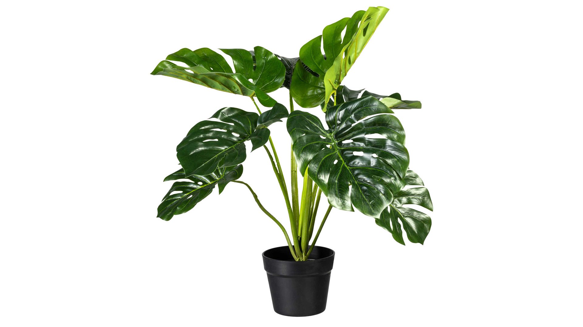 Pflanze Gasper aus Kunststoff in Grün Splitphilodendron grüner Kunststoff & schwarzer Topf – Höhe ca. 65 cm