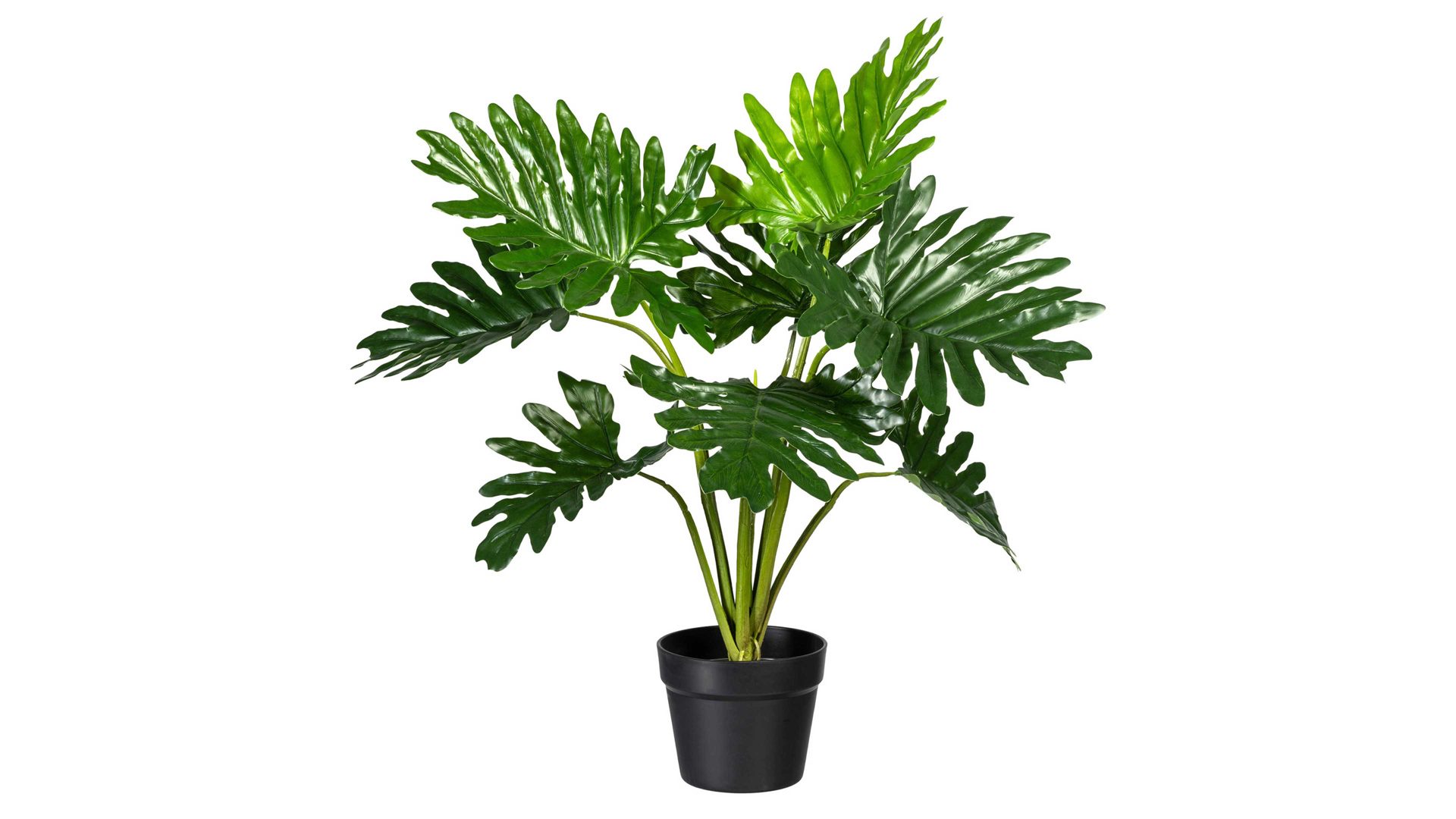 Pflanze Gasper aus Kunststoff in Grün Fensterblatt Monstera grüner Kunststoff & schwarzer Topf – Höhe ca. 65 cm