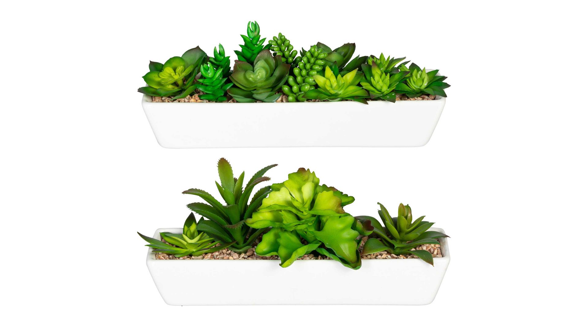 Pflanze Gasper aus Kunststoff in Grün Sukkulenten-Arrangemente grüner Kunststoff & weißer Keramiktopf – zweiteilig