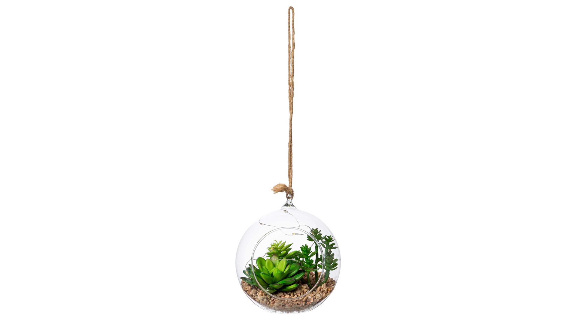 Pflanze Gasper aus Kunststoff in Grün Sukkulenten-Glaskugel grüner Kunststoff & Klarglas – Durchmesser ca. 12 cm