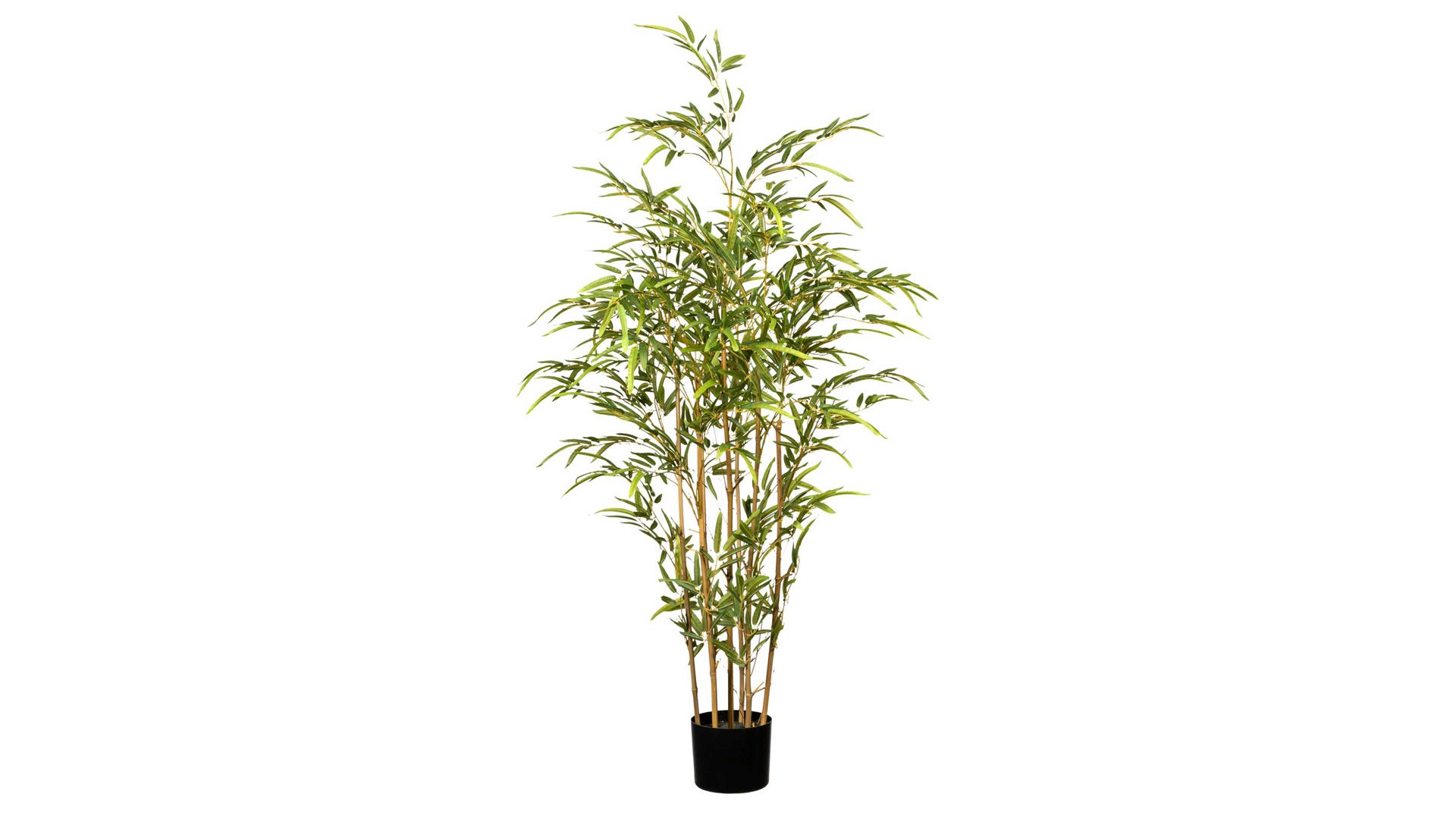 Pflanze Gasper aus Kunststoff in Grün Bambus grüner Kunststoff & schwarzer Topf – Höhe ca. 130 cm