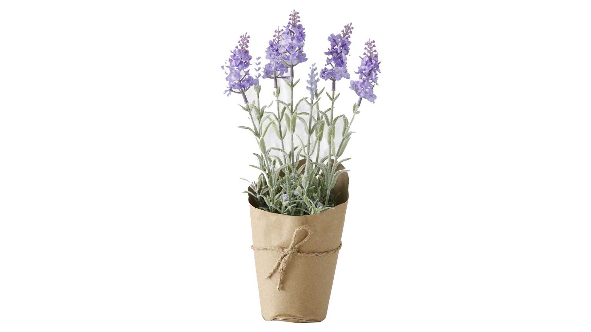 Pflanze Boltze aus Kunststoff in Pastell Lavendel blasslila Kunststoff - Höhe ca. 32 cm