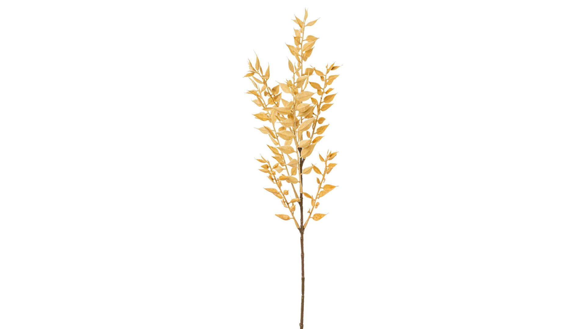 Zweig Gasper aus Kunststoff in Beige Ruscuszweig Tarek naturfarbener Kunststoff – Höhe ca. 50 cm