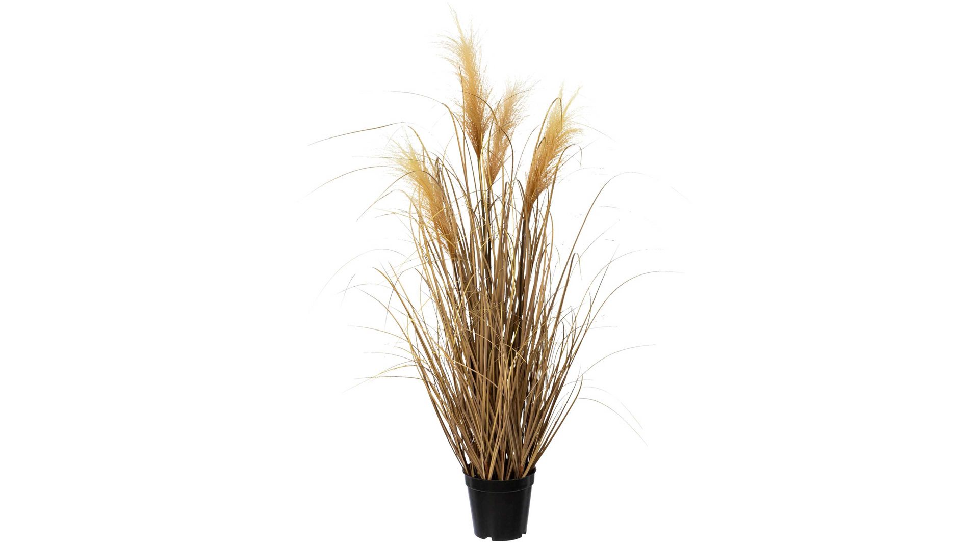 Blume Gasper aus Kunststoff in Braun Pampasgras Tosik Kunststoff in Naturtönen – Höhe ca. 92 cm
