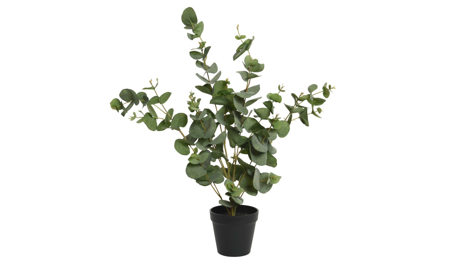Pflanze Kaemingk aus Kunststoff in Grün Eukalyptus grüner Kunststoff - Höhe ca. 60 cm
