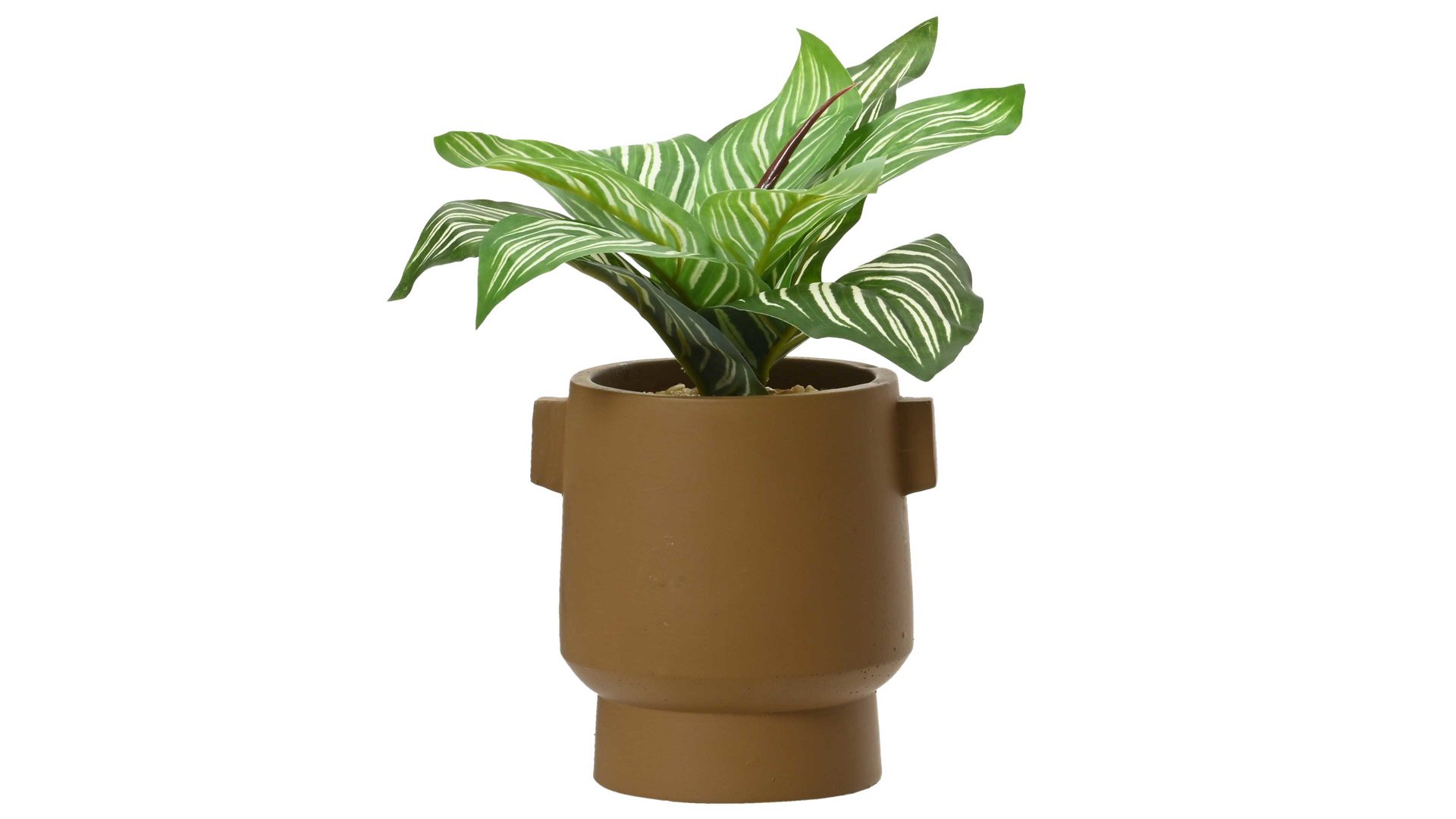 Pflanze Kaemingk aus Kunststoff in Braun Calathea im Topf Kunststoff & terracottafarbener Keramiktopf - Höhe ca. 25 cm