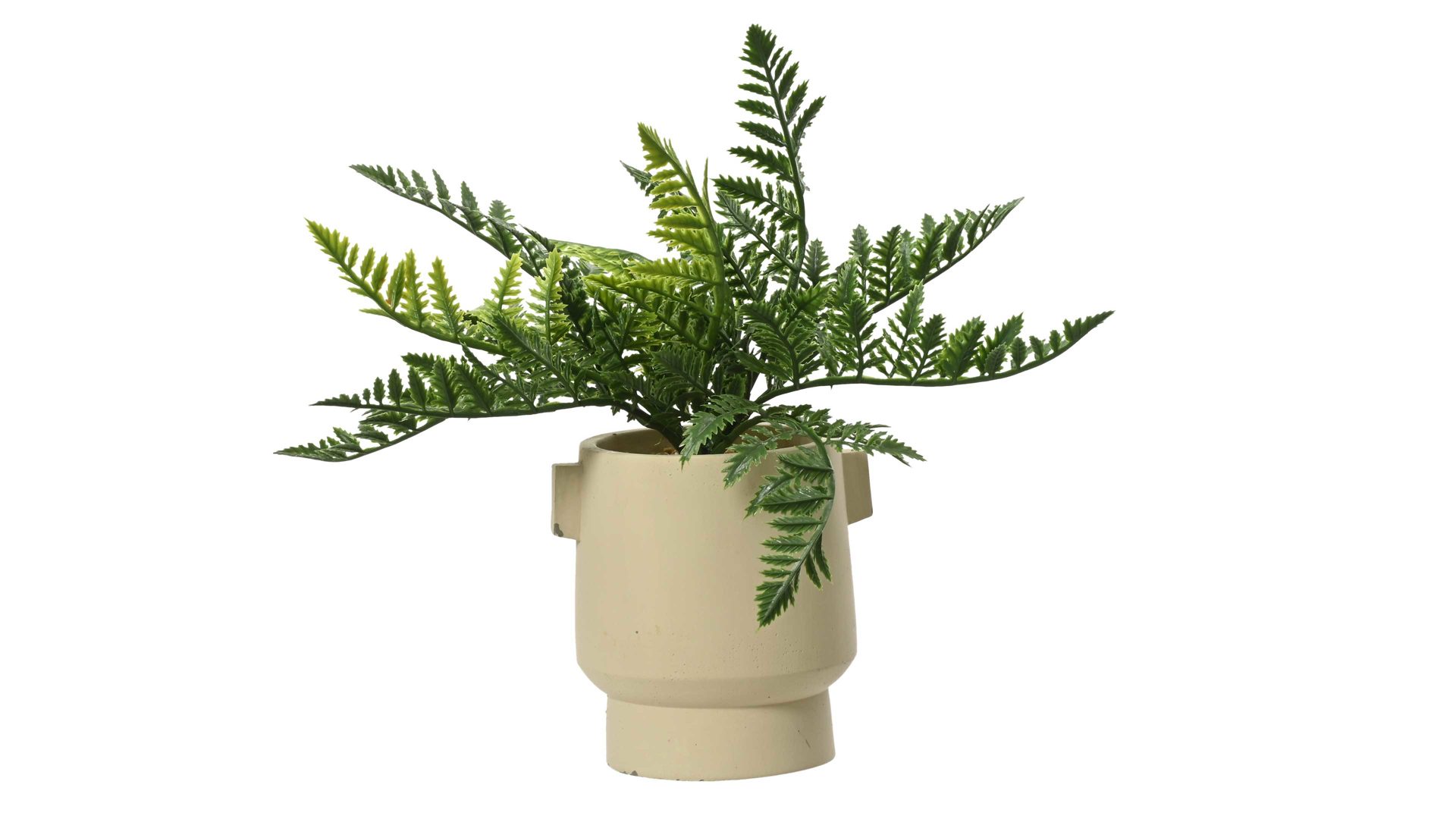 Pflanze Kaemingk aus Kunststoff in Weiß Fangblatt-Farn im Topf Kunststoff & elfenbeinfarbener Keramiktopf - Höhe ca. 25 cm