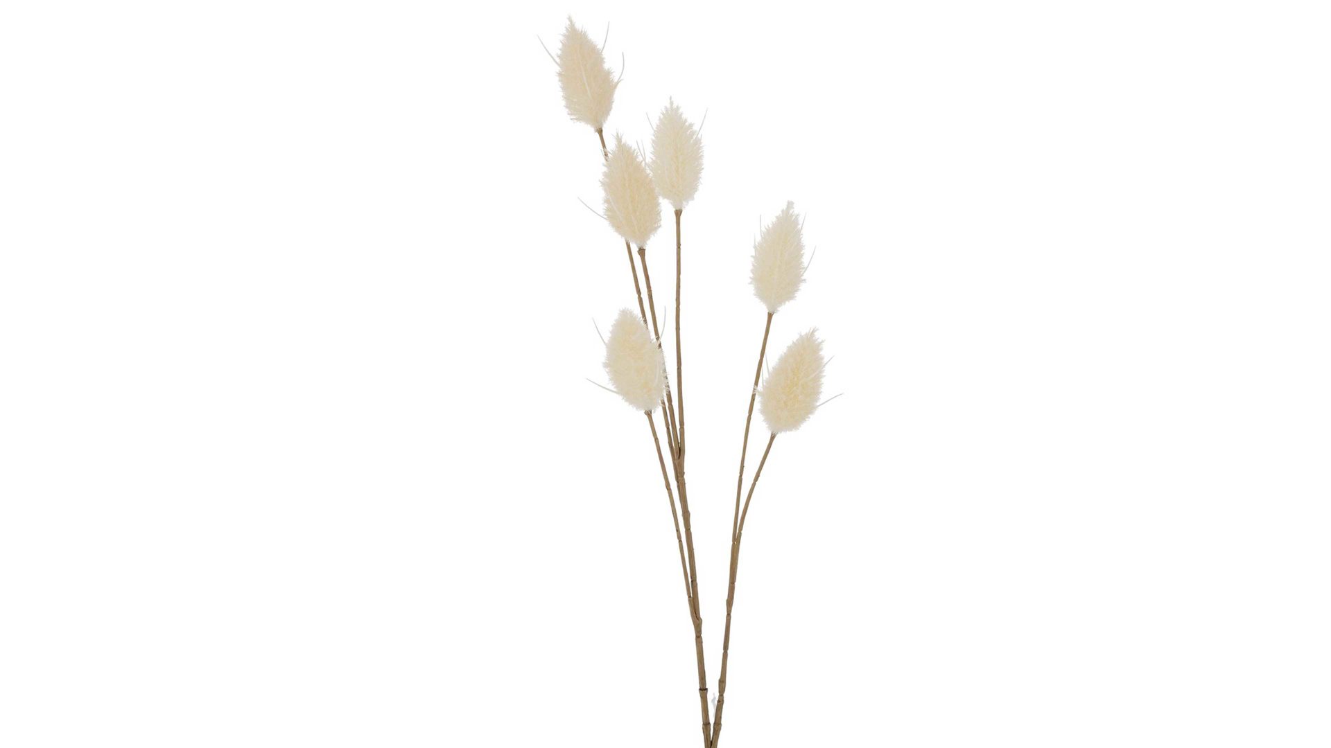Zweig Boltze aus Kunststoff in Weiß Dekozweig Samtgras Lagurus ovatus L wollweißer Kunststoff – Höhe ca. 72 cm