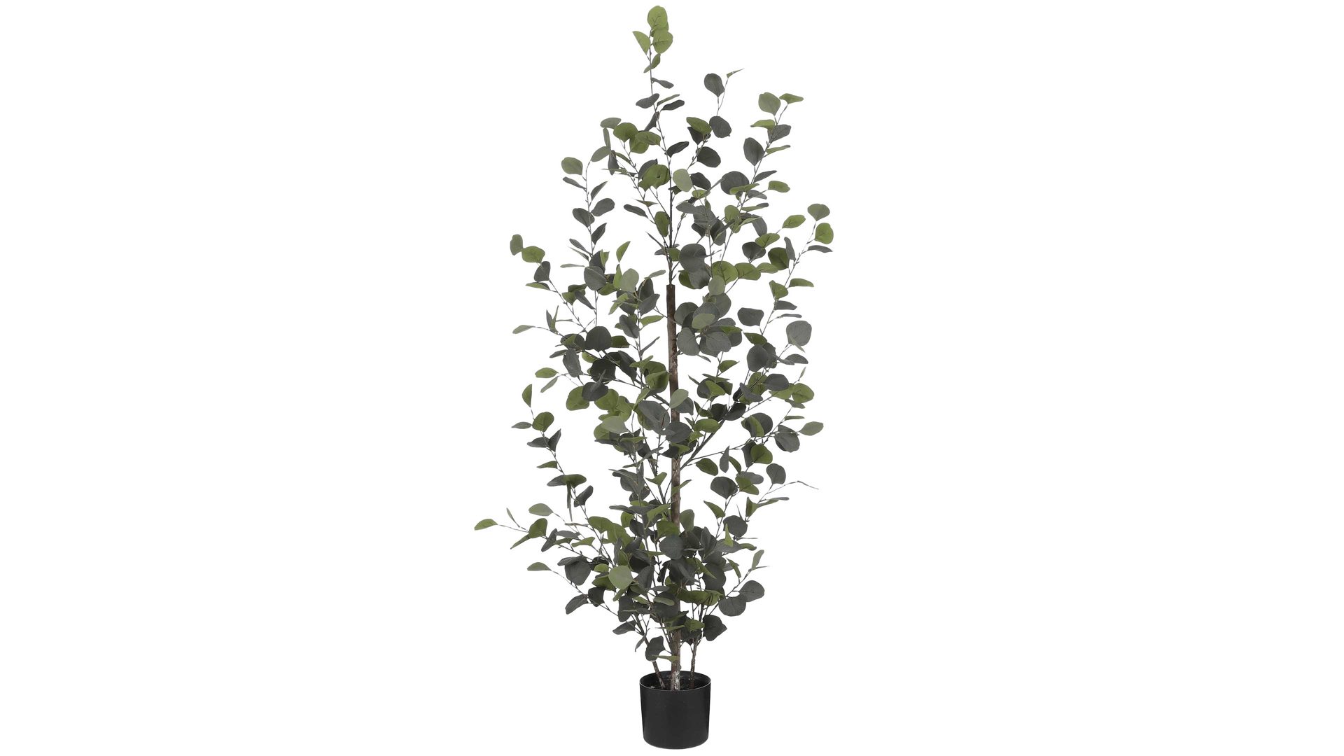 Pflanze Edelman® aus Kunststoff in Grün Eukalyptusstrauch Kunststoff - Höhe ca. 150 cm