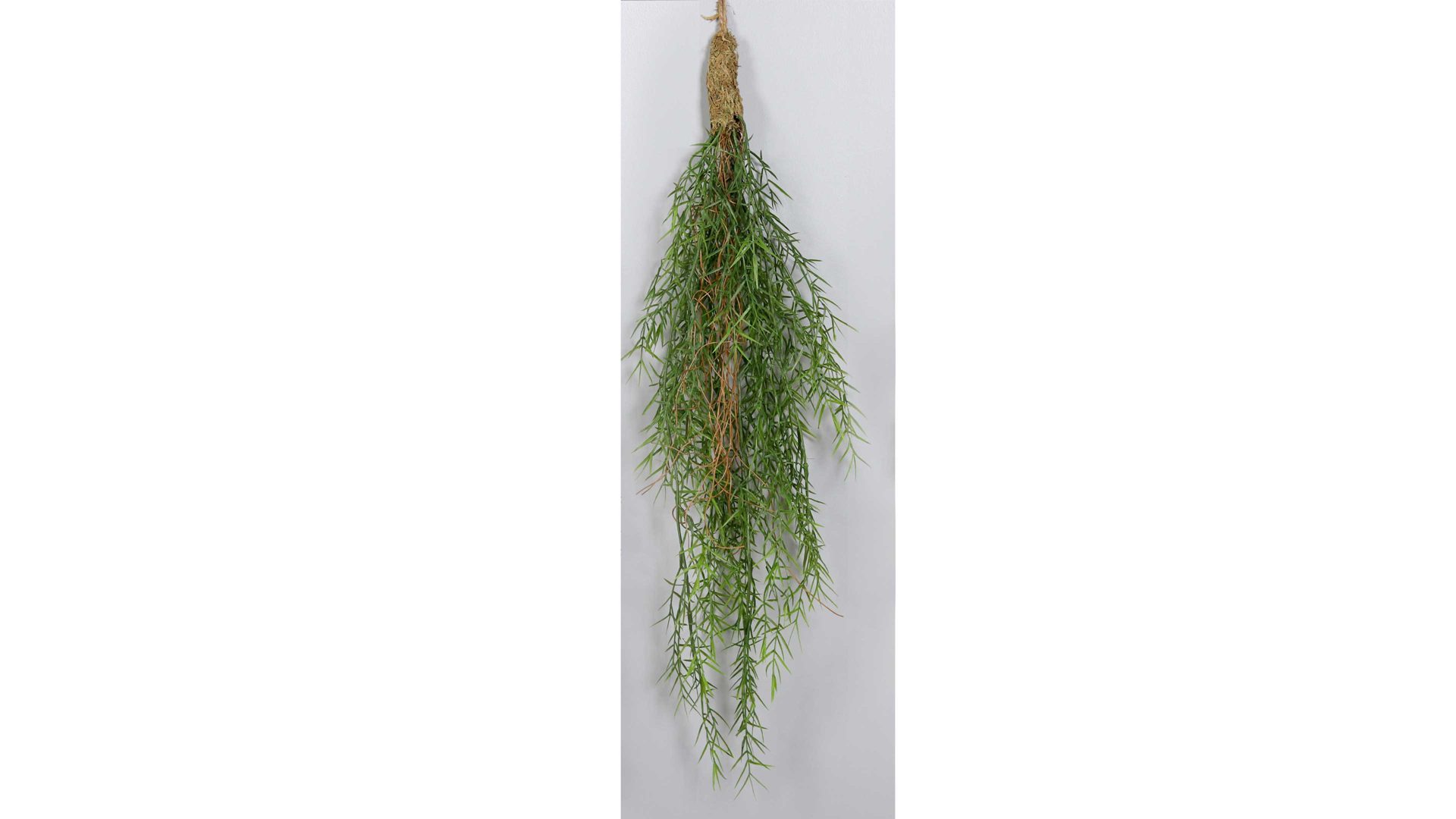 Zweig Interliving BEST BUDDYS! aus Kunststoff in Grün Interliving BEST BUDDYS! hängendes Grünbündel Asparagus - Länge ca. 50 cm