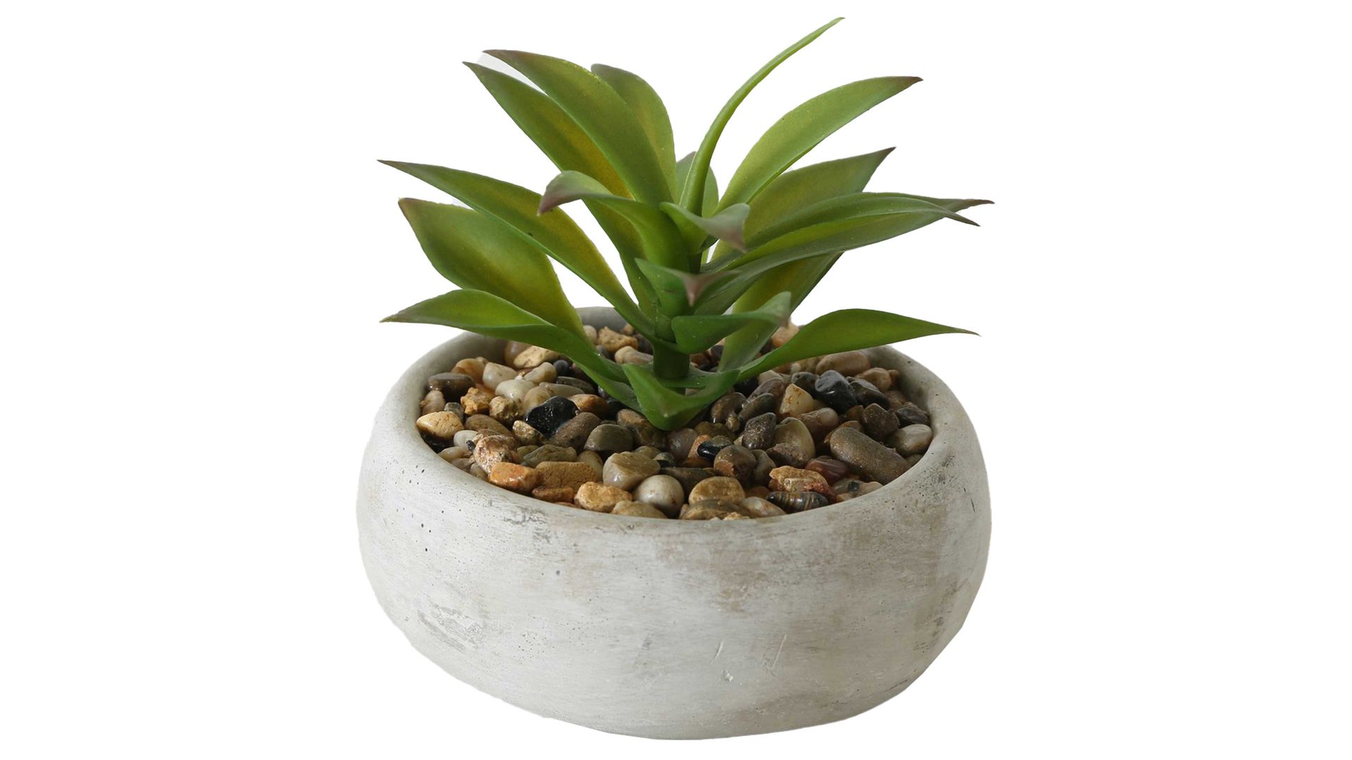 Pflanze Boltze aus Kunststoff in Grün Sukkulente grüner Kunststoff & Beton - Durchmesser ca. 17 cm
