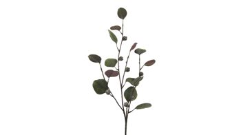 Blume Gasper aus Kunststoff in Grün Eukalyptuszweig künstlicher grüner Eukalyptuszweig – Höhe ca. 73 cm