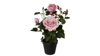 Blume Gasper aus Stoff in Pastell Rosenstock Lula rosafarbene Textilblüten – Höhe ca. 43 cm