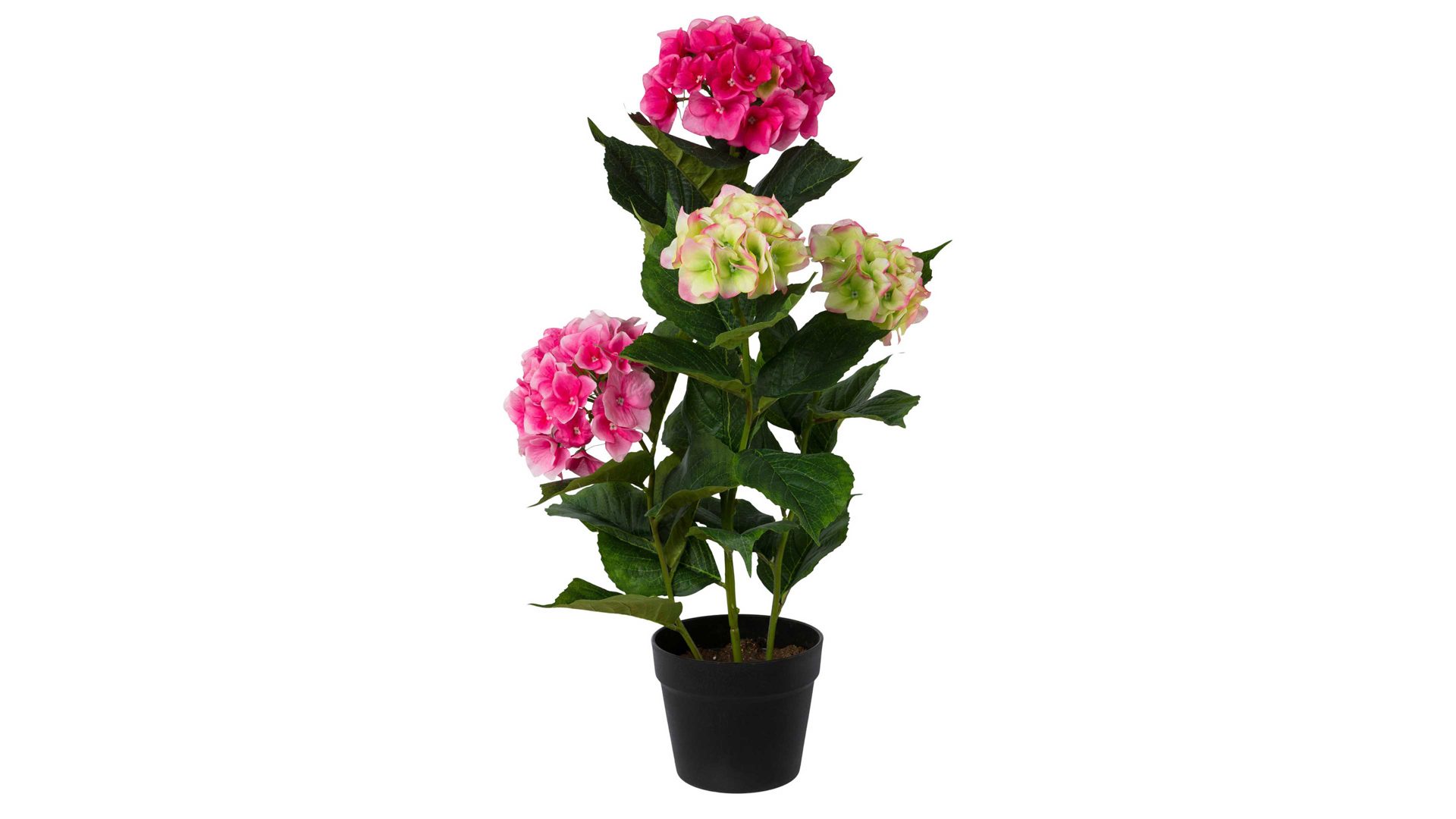 Pflanze Gasper gmbh aus Stoff in Pink Hortensienpflanze magentafarbene Textilblüten – Höhe ca. 69 cm