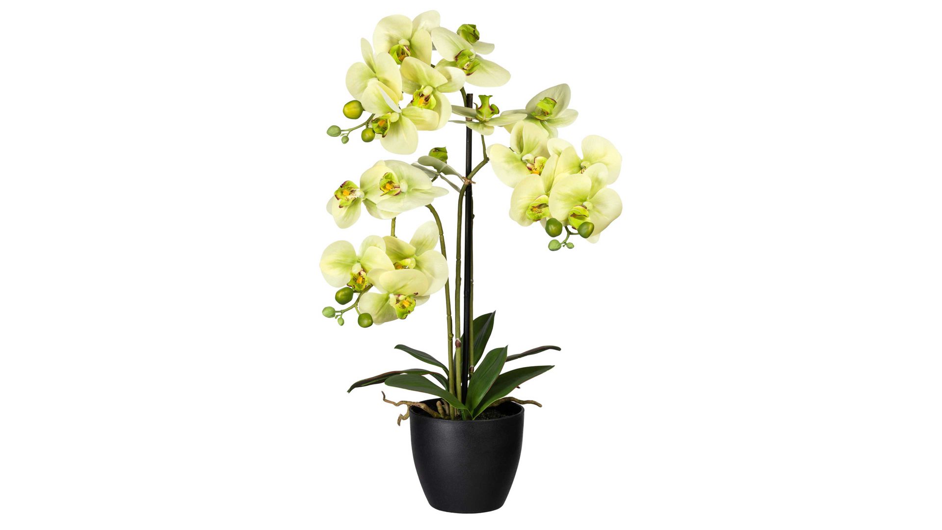 Pflanze Gasper aus Stoff in Grün Orchidee Phalaenopsis hellgrüne Textilblüten & schwarzer Topf – Höhe ca. 65 cm