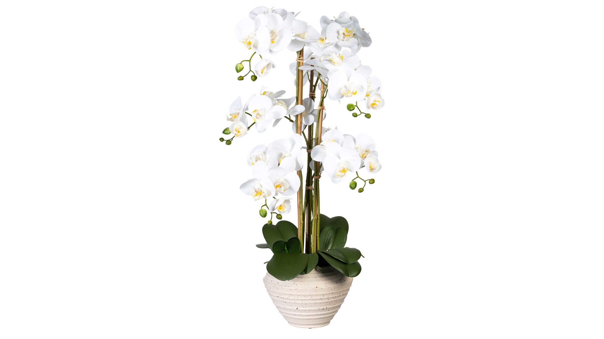 Pflanze Gasper aus Stoff in Weiß Orchidee Phalaenopsis weiße Textilblüten & cremefarbener Keramiktopf – Höhe ca. 80 cm