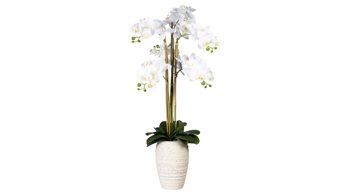 Pflanze Gasper aus Stoff in Weiß Orchidee Phalaenopsis weiße Textilblüten & cremefarbene Keramikvase – Höhe ca. 90 cm