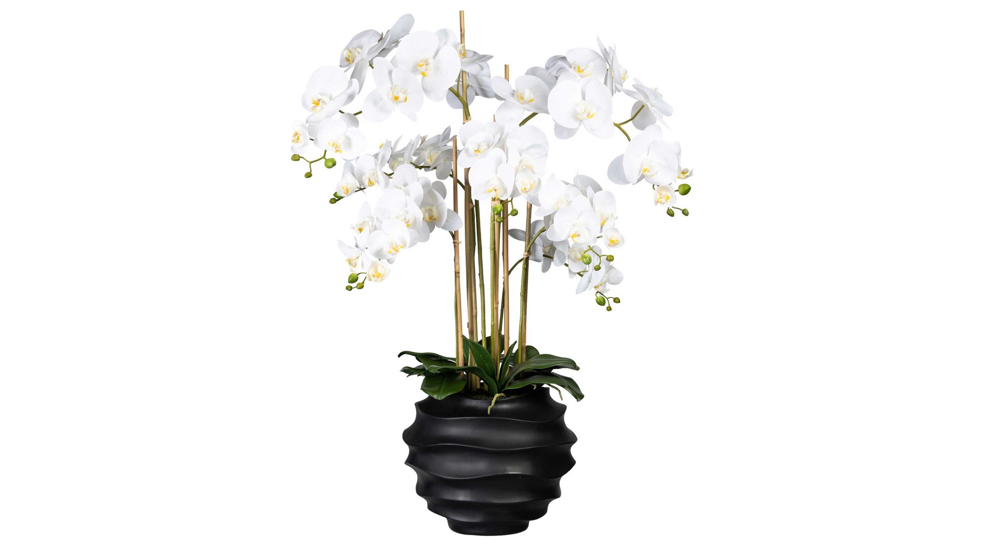 Pflanze Gasper aus Stoff in Weiß Orchidee Phalaenopsis weiße Textilblüten & schwarzer Kunststofftopf – Höhe ca. 95 cm