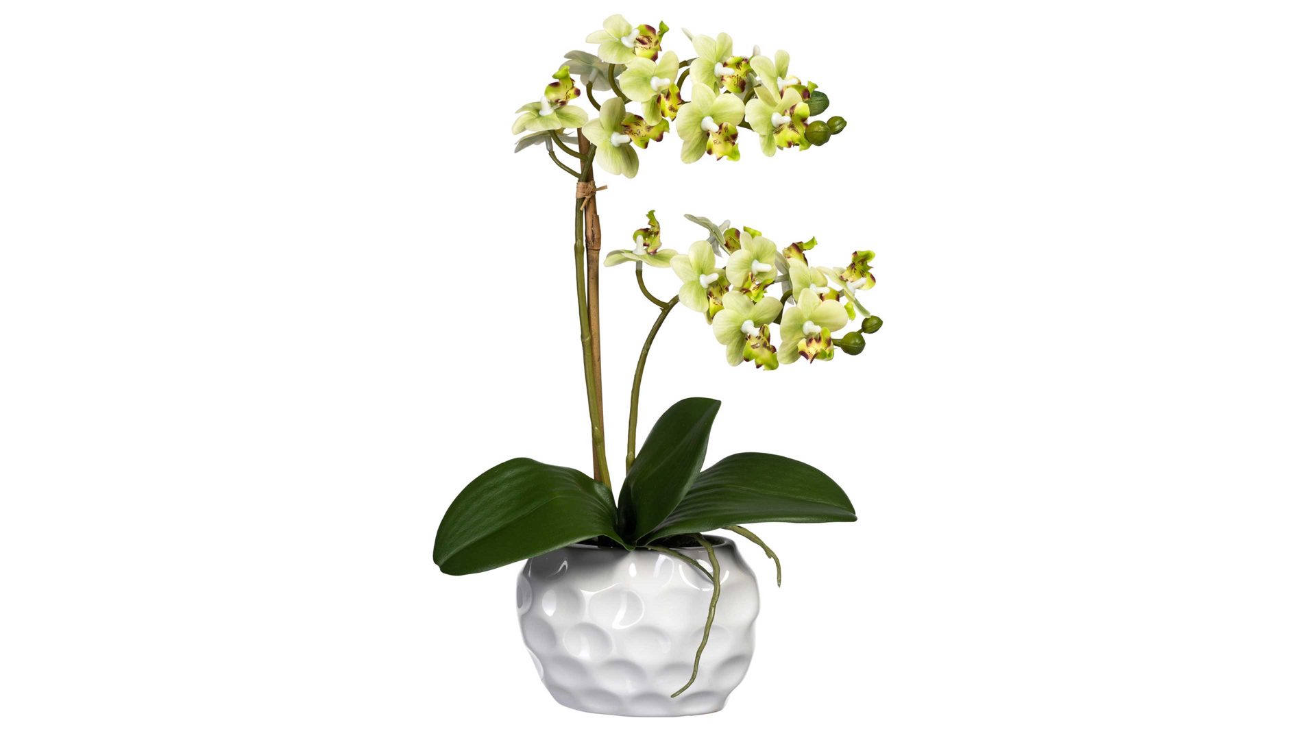 Pflanze Gasper aus Stoff in Grün Mini-Orchidee Phalaenopsis hellgrüne Textilblüten & weiße Keramikvase – Höhe ca. 40 cm