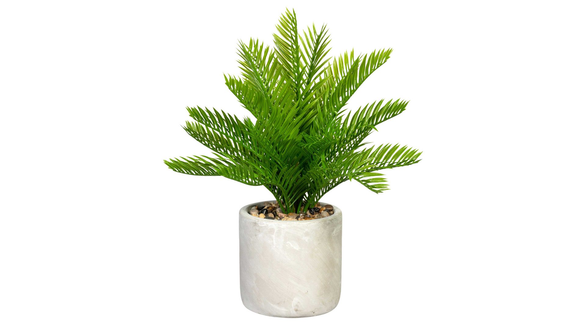 Pflanze Gasper aus Kunststoff in Grün Palmfarn Cycas grüner Kunststoff & Zementtopf – Höhe ca. 34 cm