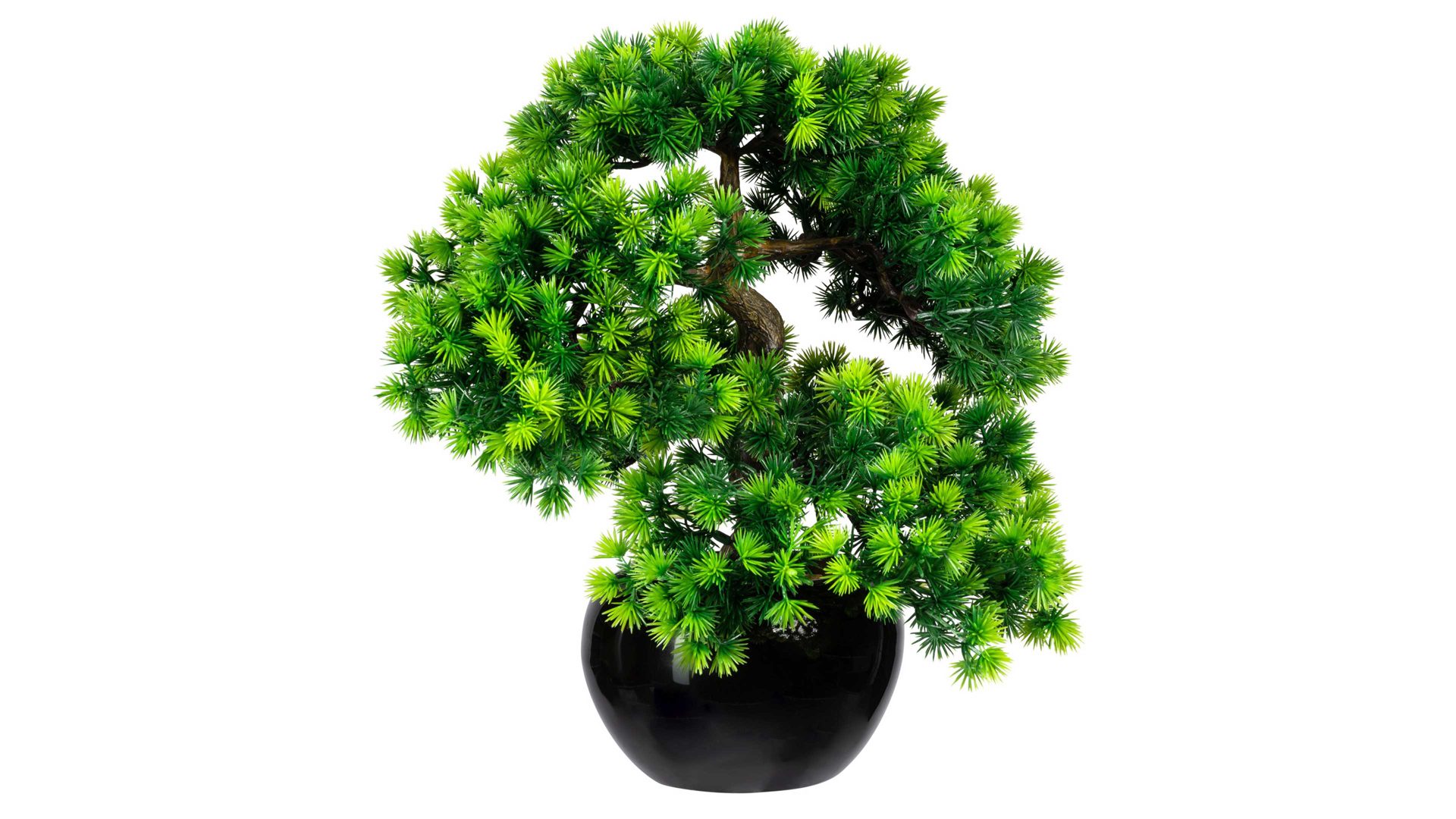 Pflanze Gasper aus Kunststoff in Grün Bonsai Lärche grüner Kunststoff & schwarzer Keramiktopf – Höhe ca. 37 cm