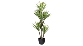 Pflanze Gasper aus Kunststoff in Grün Yuccapalme grüner Kunststoff & schwarzer Topf – Höhe ca. 110 cm