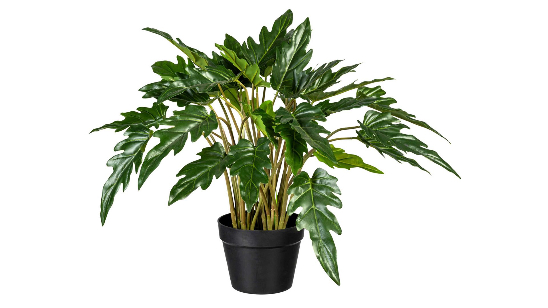 Pflanze Gasper aus Kunststoff in Grün Baumfreund Philodendron xanadu grüner Kunststoff & schwarzer Topf – Höhe ca. 60 cm