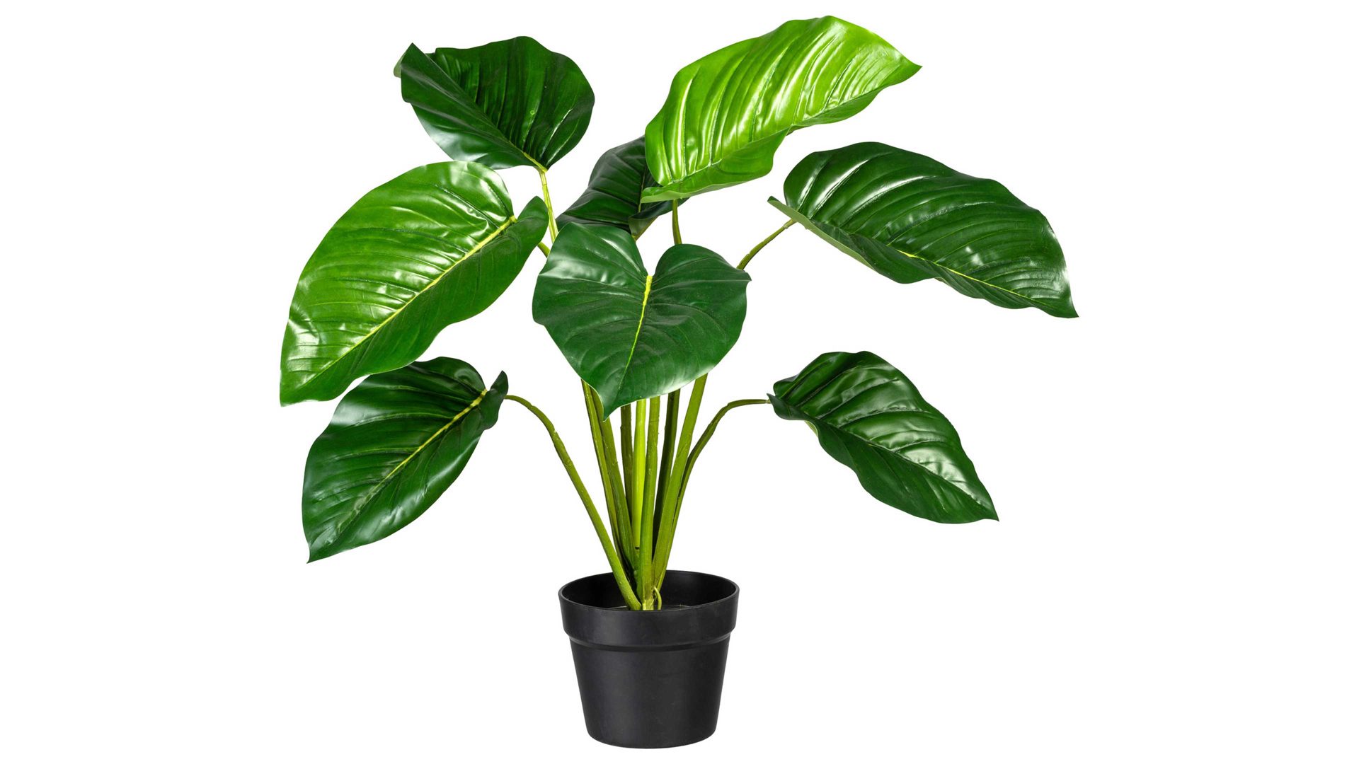 Pflanze Gasper aus Kunststoff in Grün Philodendron grüner Kunststoff & schwarzer Topf – Höhe ca. 65 cm